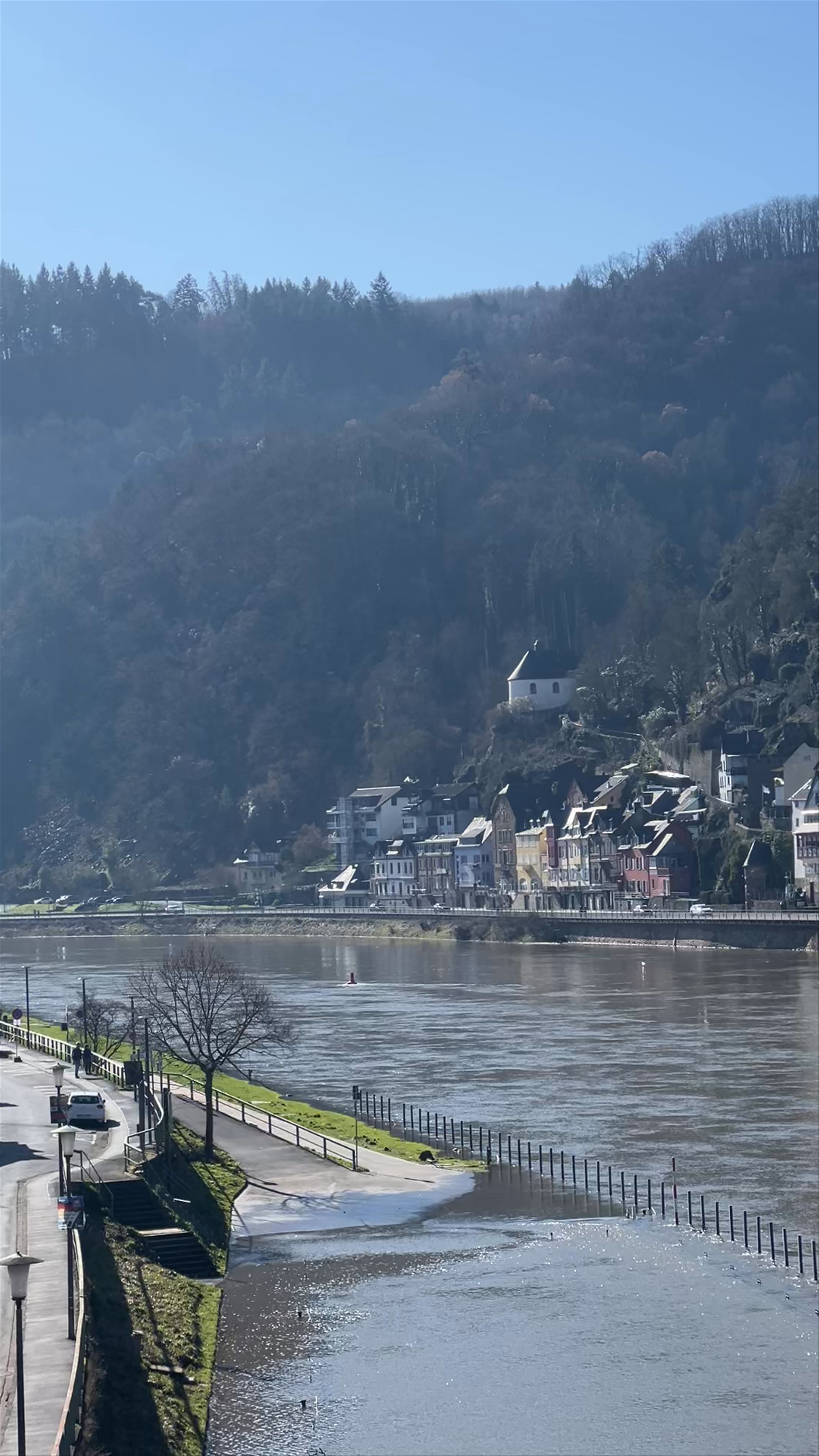 Viewpoint Cochem Castle