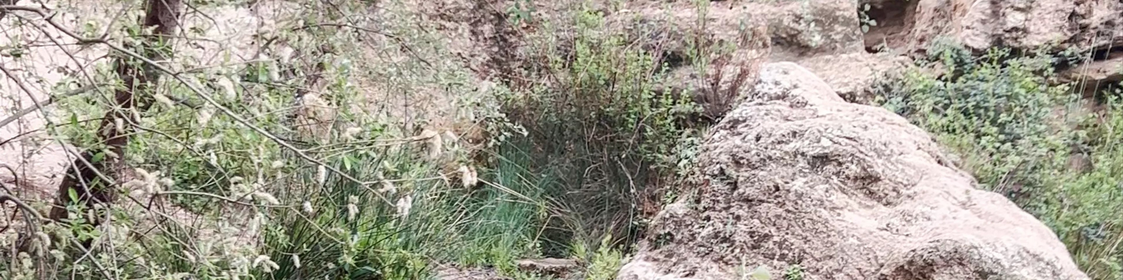 Salto Del Usero