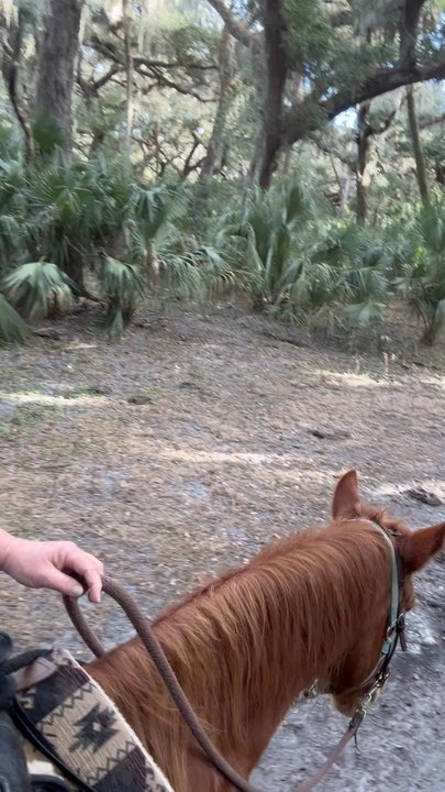 HIDDEN PALMS RANCH - Updated June 2026 - 99 Photos & 34 Reviews - 1410 ...