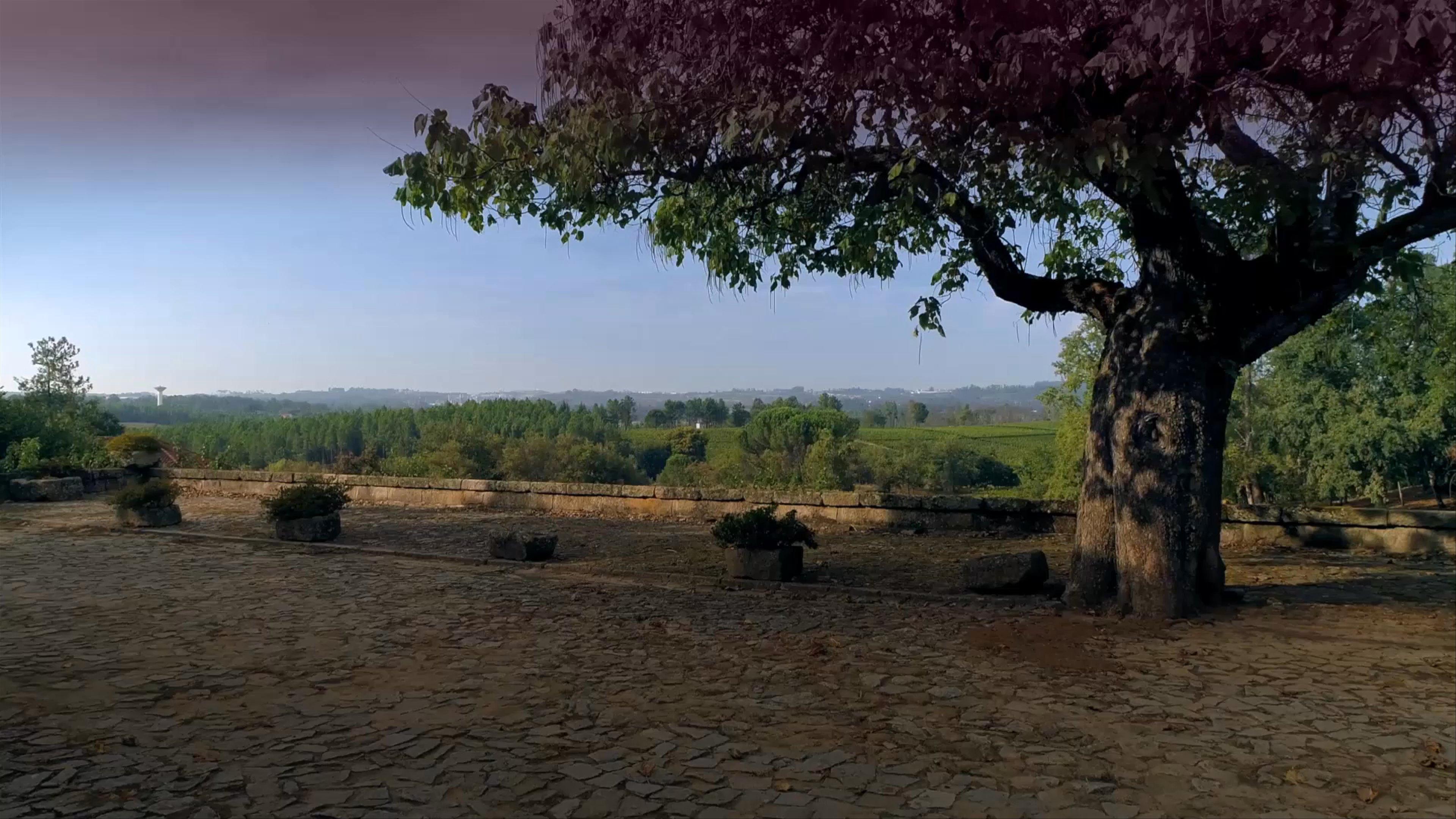 Nem tarde, nem cedo. O sabor no tempo certo.