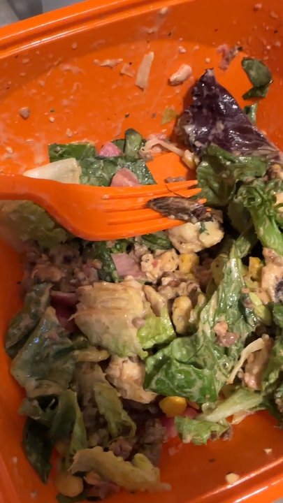 Salad and Go - Found a live bug in my salad - Salad Near Me - Mesa, Arizona