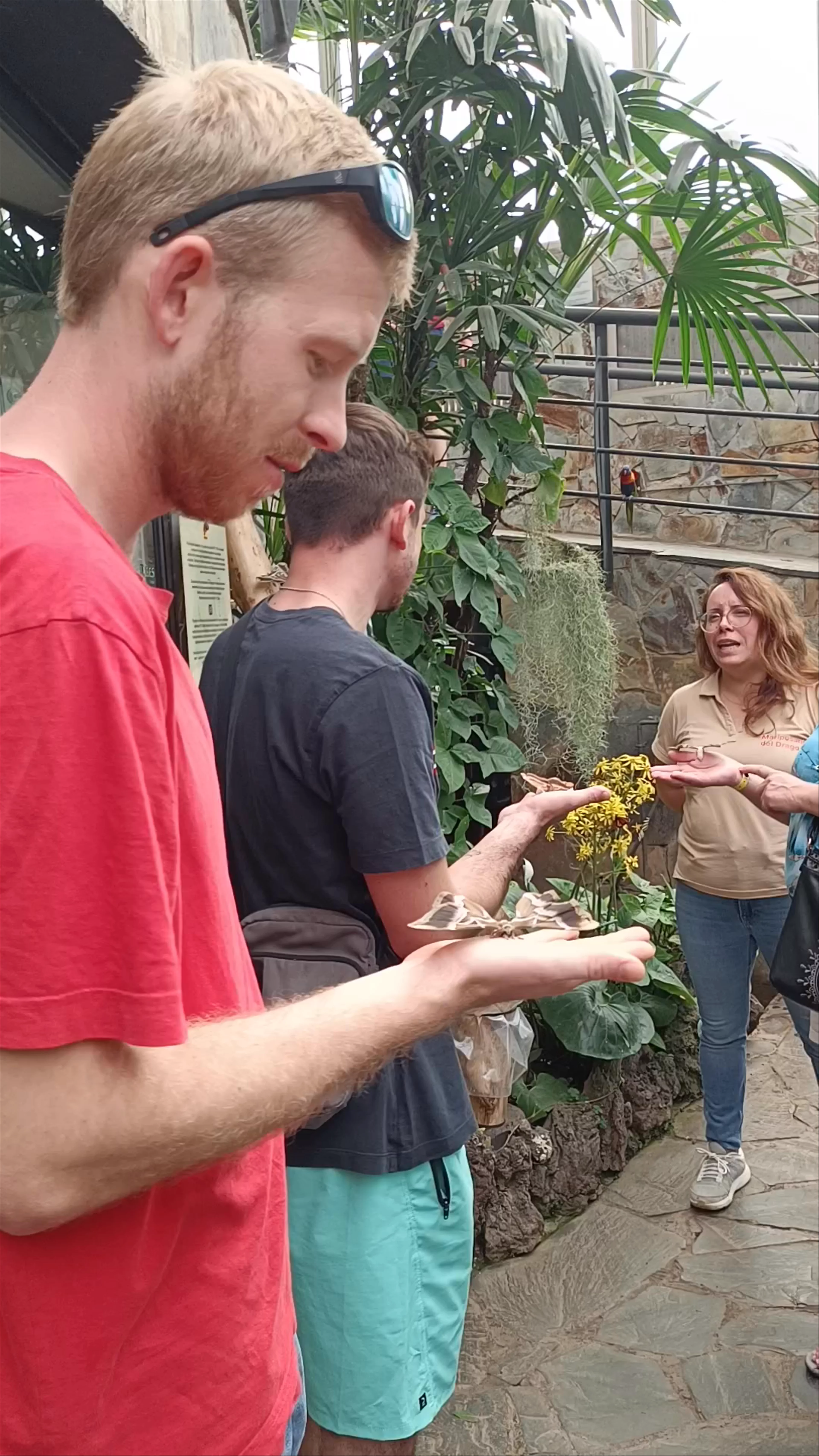 Mariposario del Drago Butterfly Park