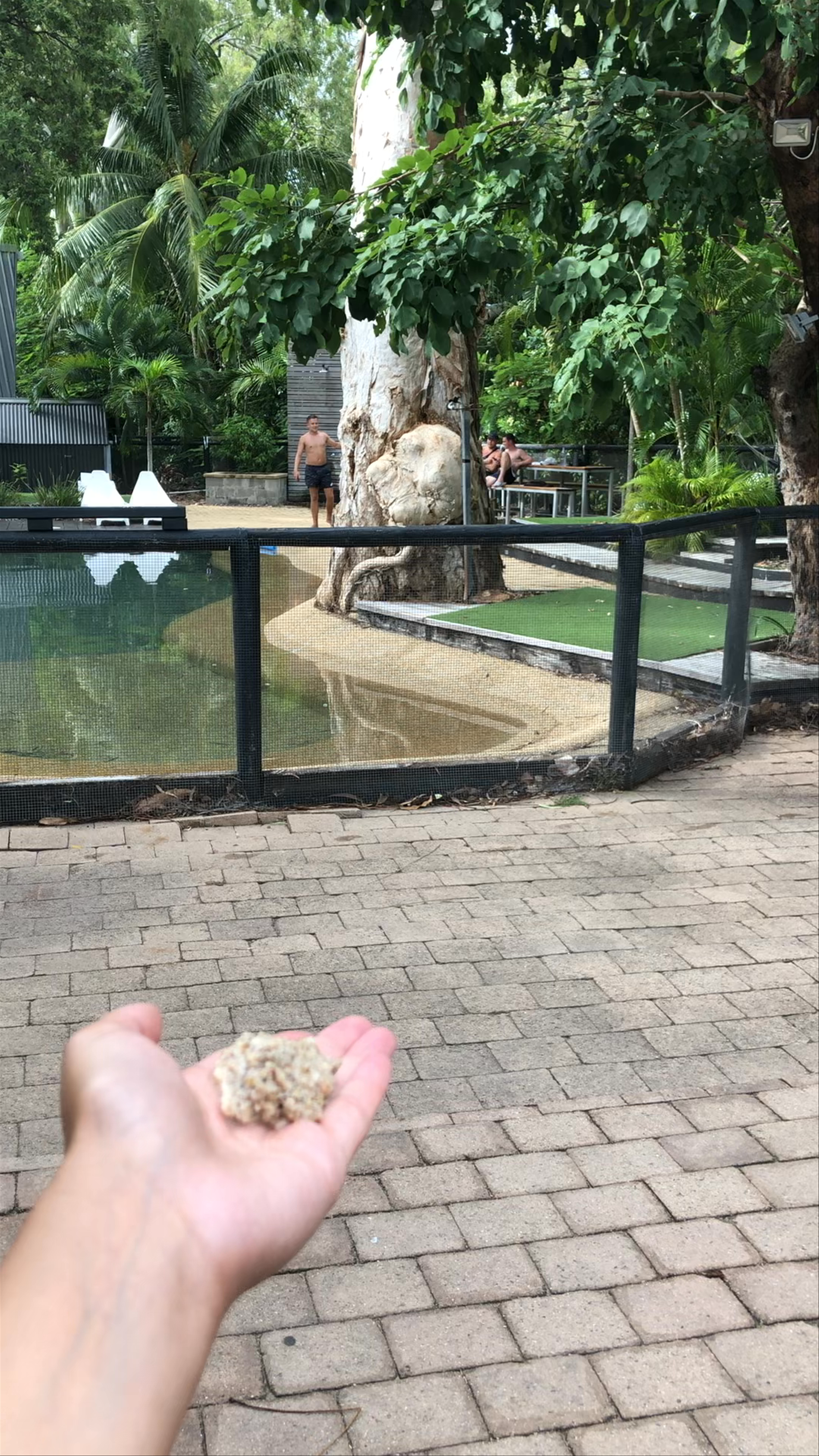 Bungalow Bay Koala Village