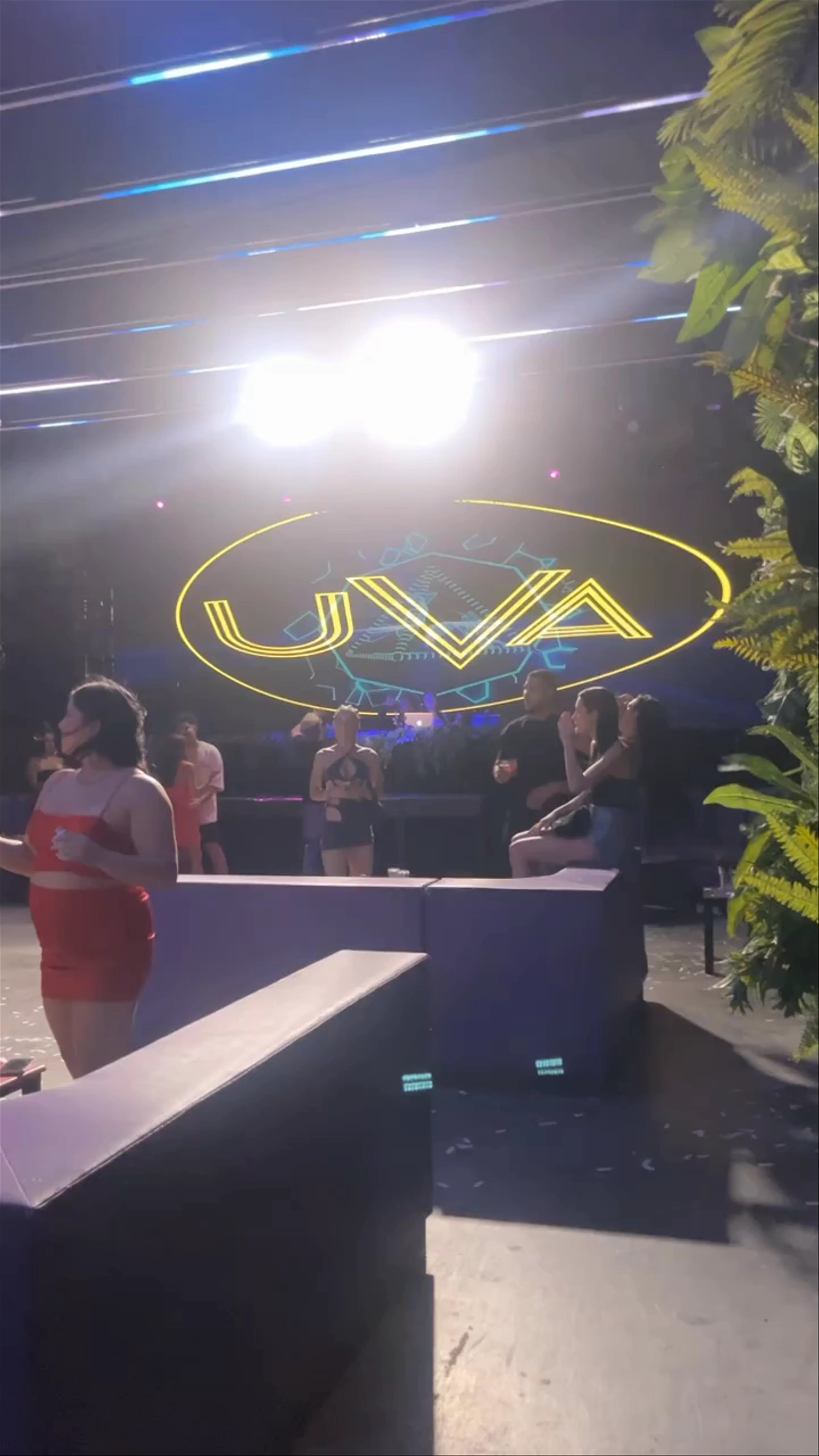 Uva Uva Wynwood
