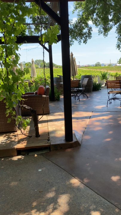 Grapeline Wine Tours - Wine Tours Near Me - Paso Robles, California