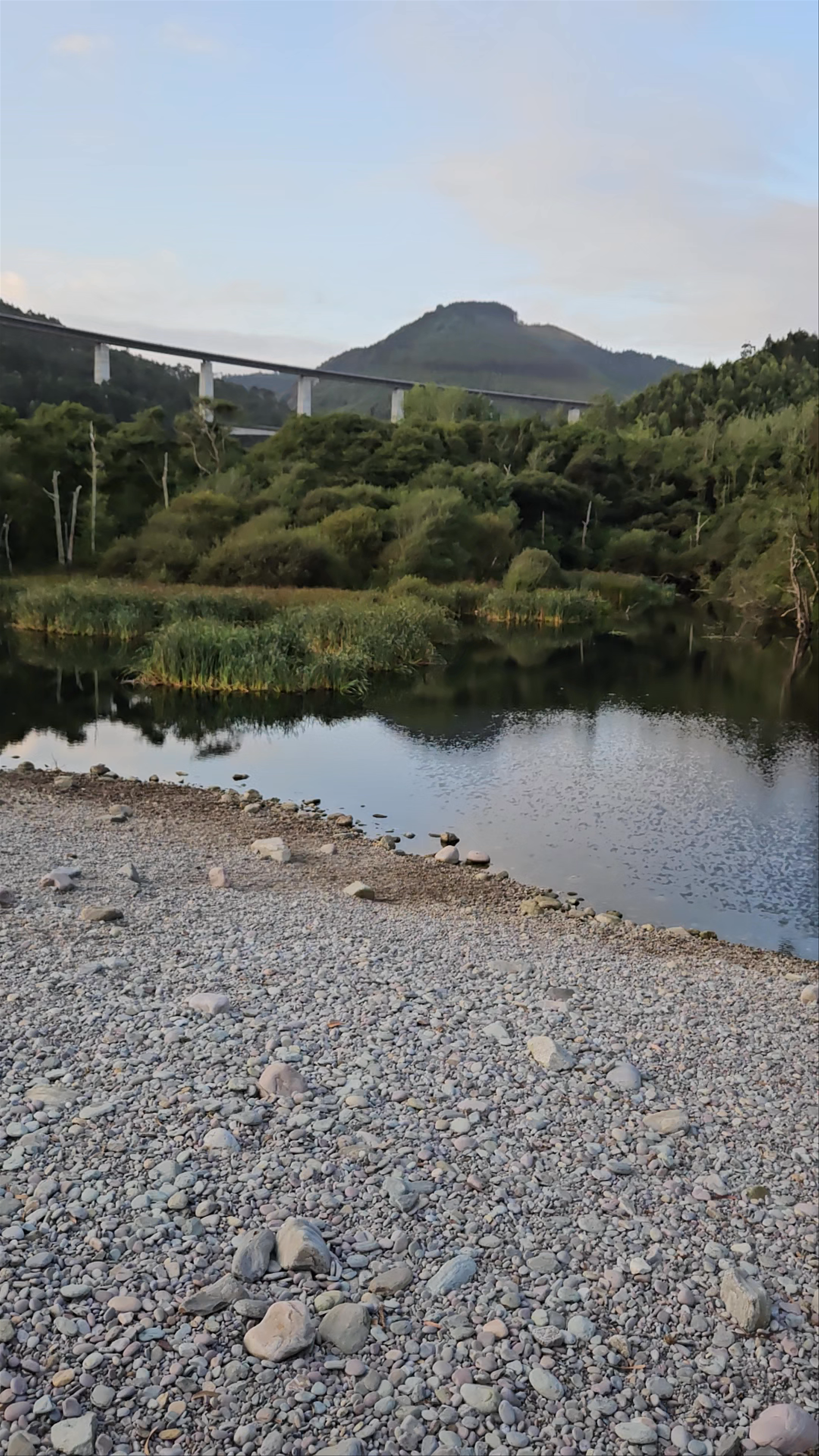 Playa de la Concha de Artedo