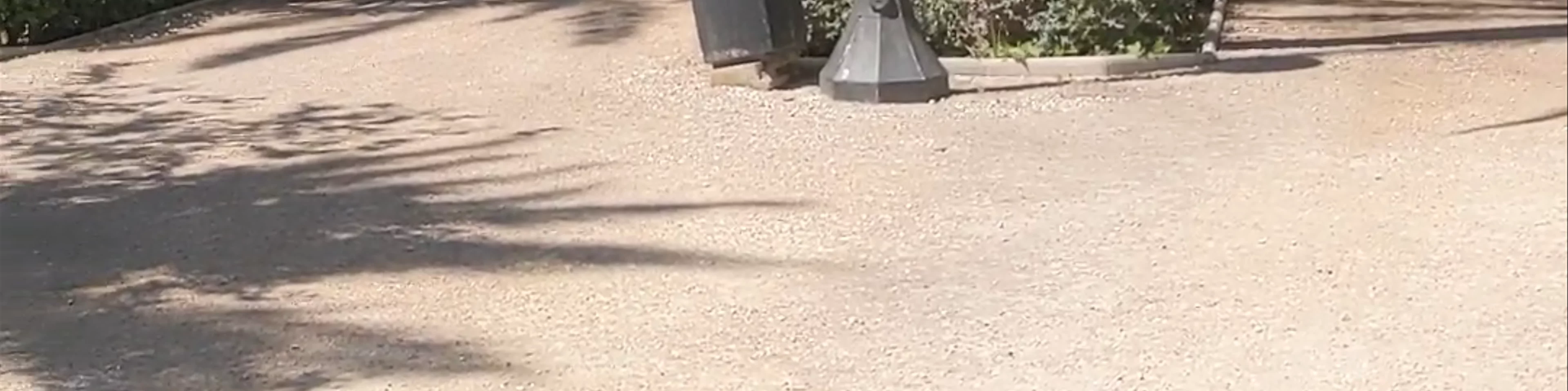 El Palmeral de Elche