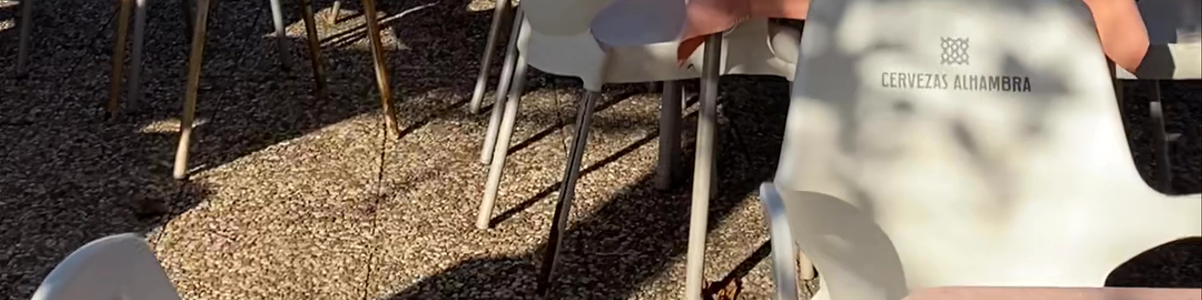 restaurante Rociero Bodegón De La Blanca Paloma