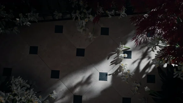 Saint Laurent - © Artlist