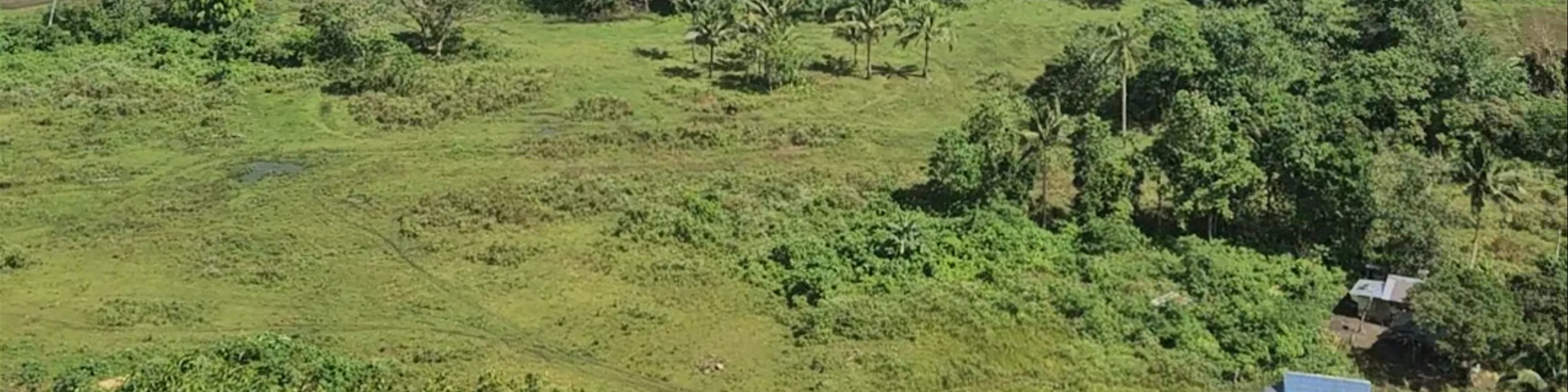 Chocolate Hills View Point