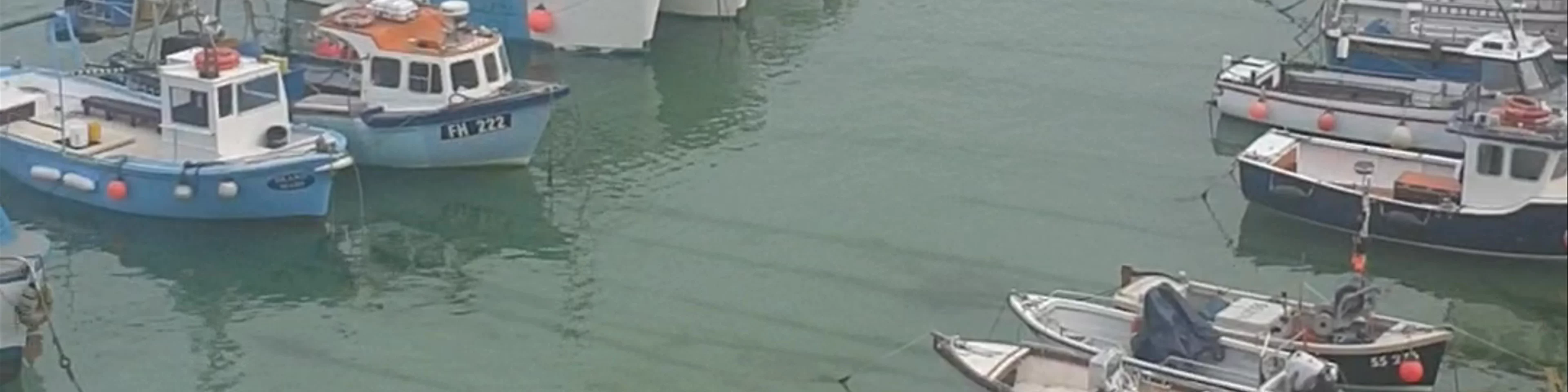 Newquay Harbour