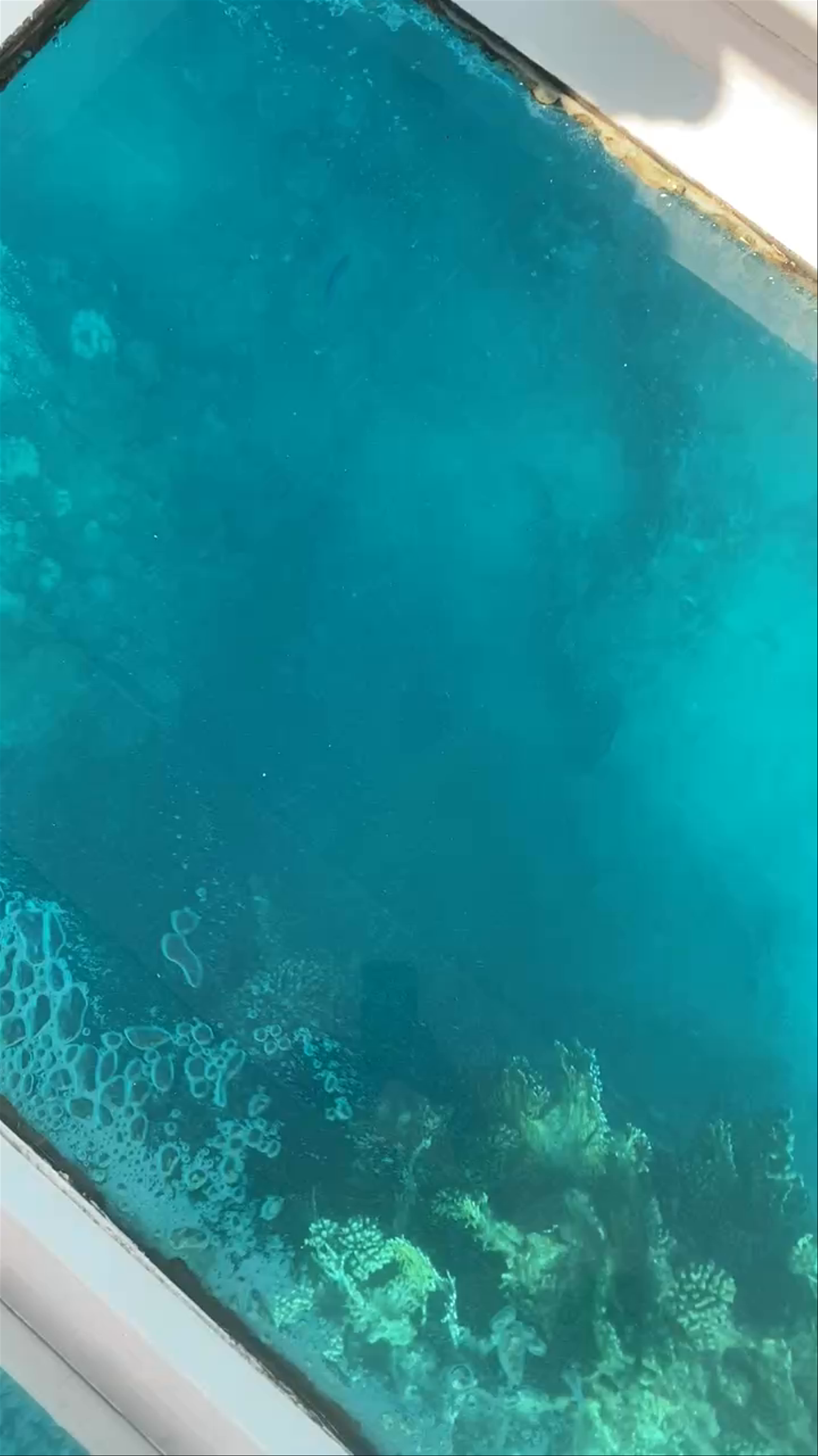Coral Reef Exploration Through Glass Bottom Boat in Sharm El Sheikh