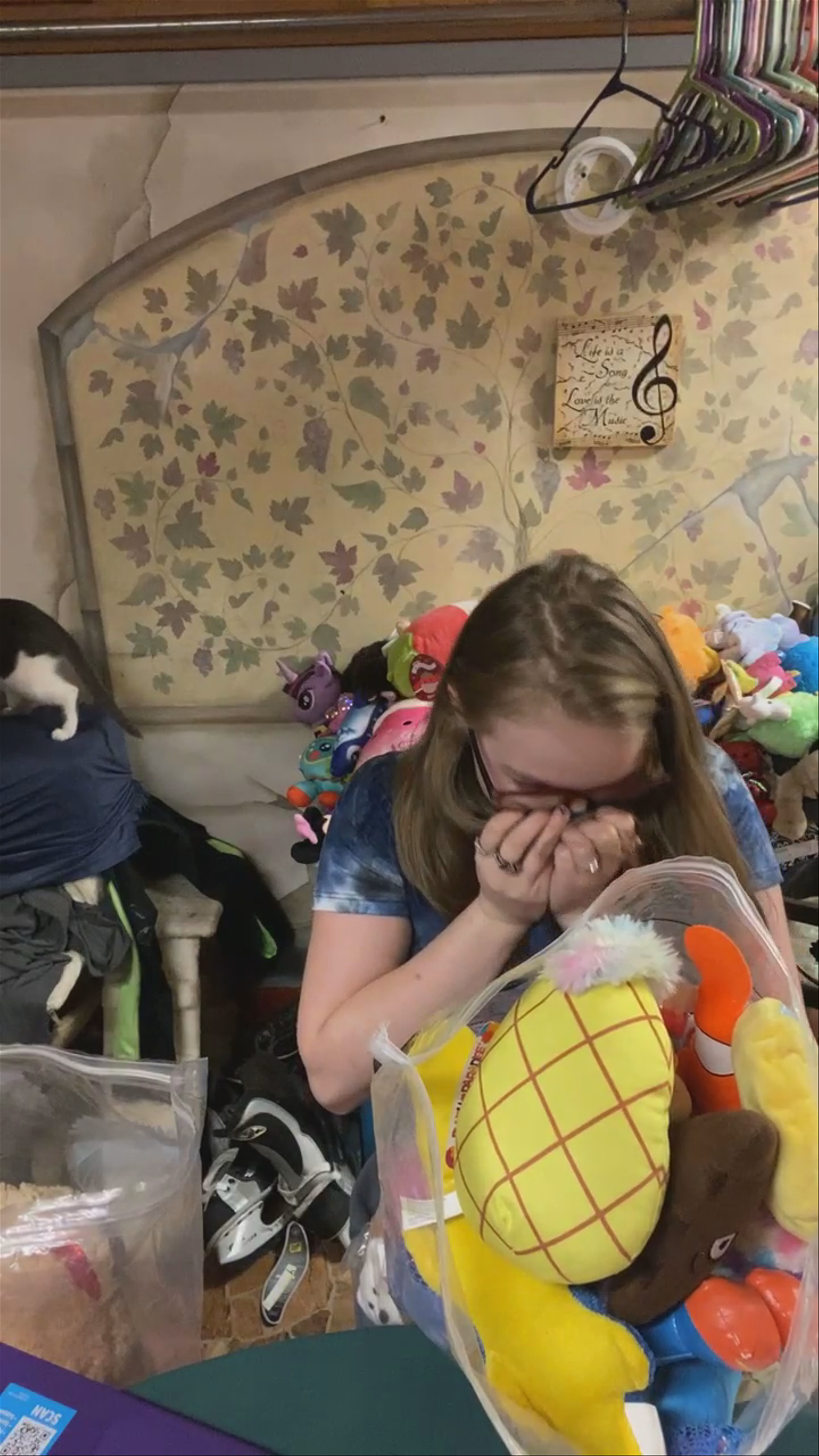 Cat stinks up the room 