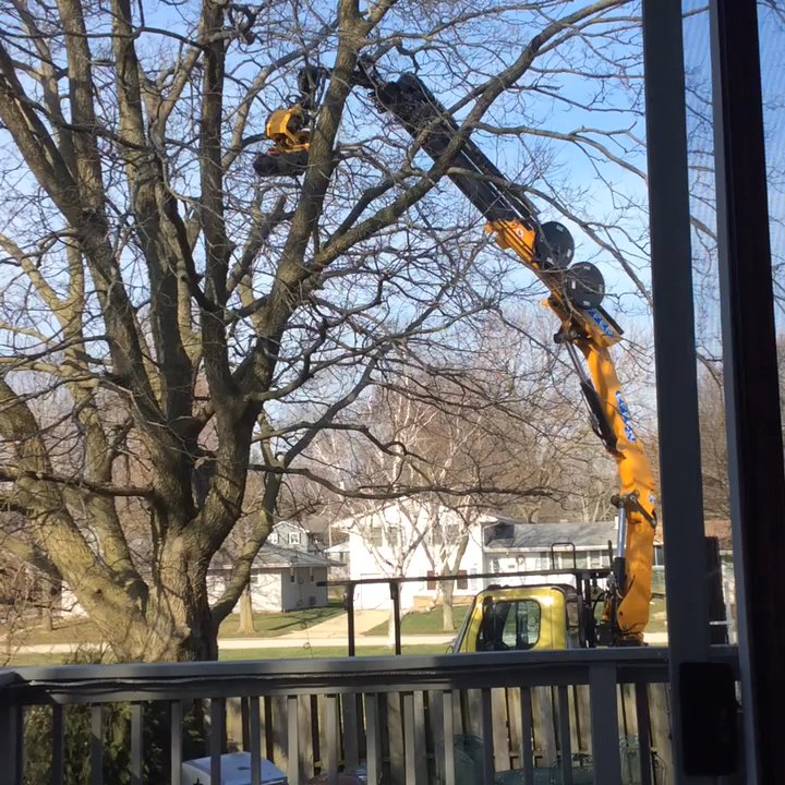 Oak Bros Tree Care & Removal - Cool operation; safe and clean - Tree Services Near Me - Bloomington, Illinois