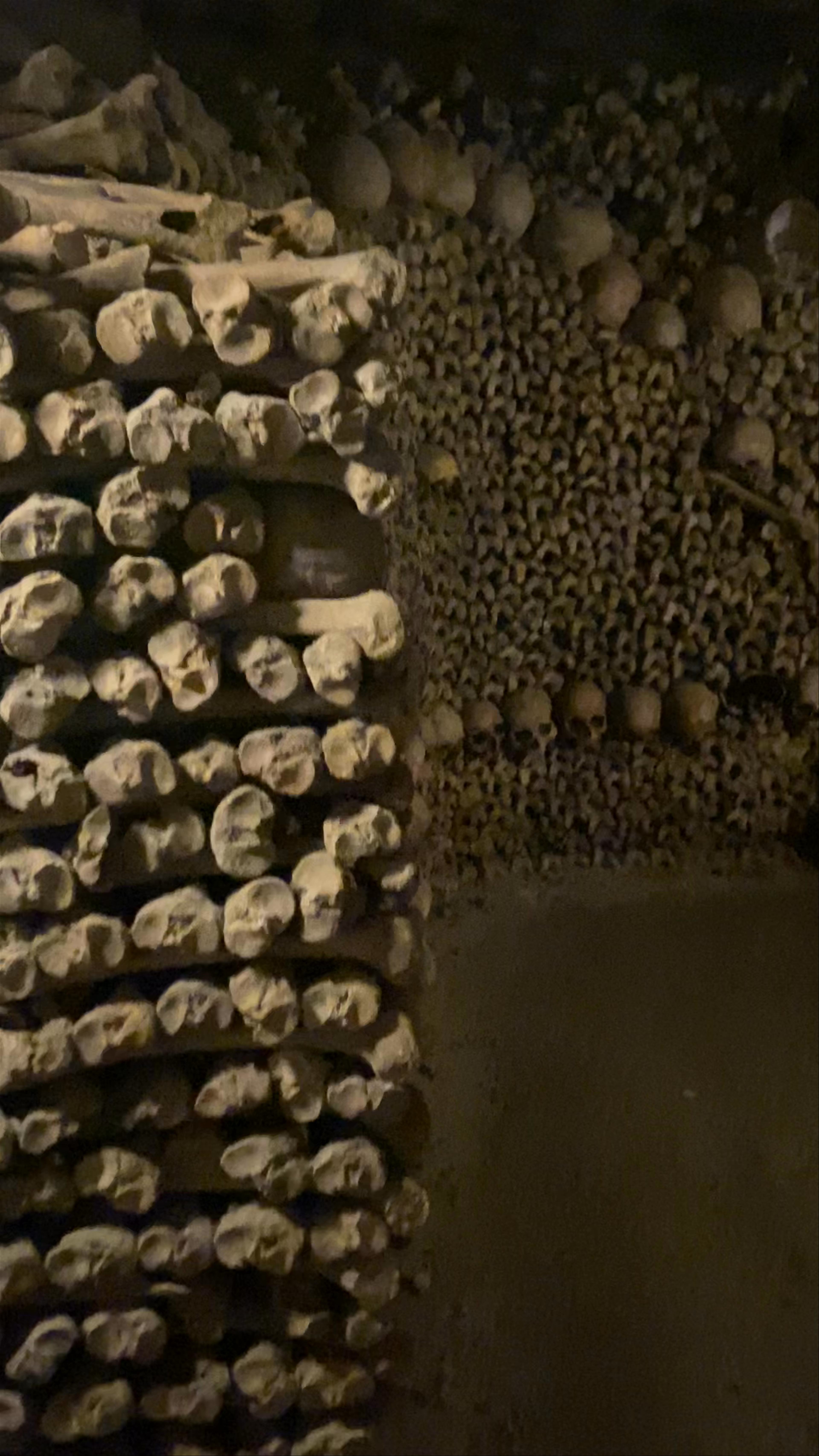 Exploring the Catacombs of Paris: A Haunting Underground Journey