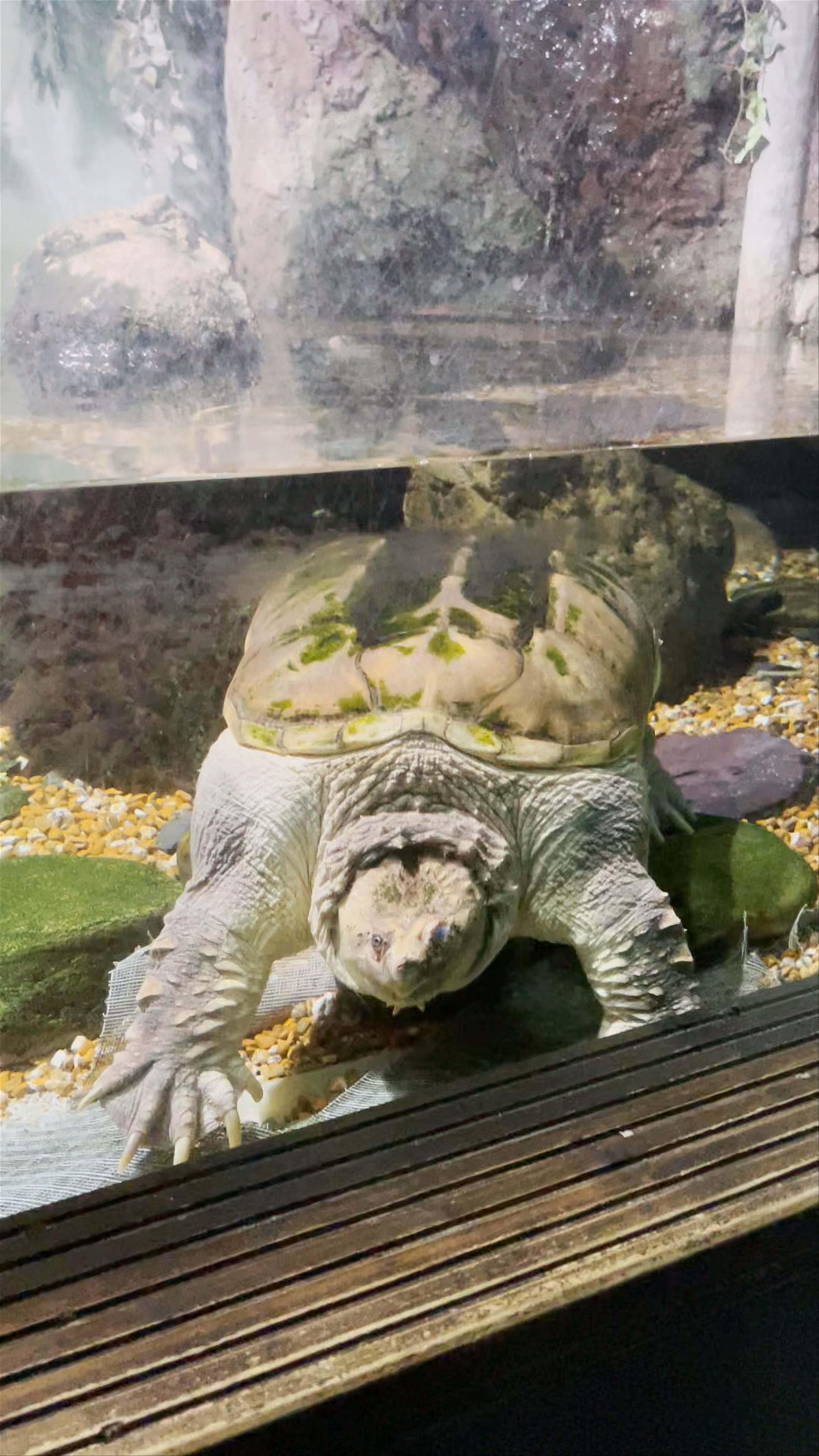 Blue Reef Aquarium Portsmouth