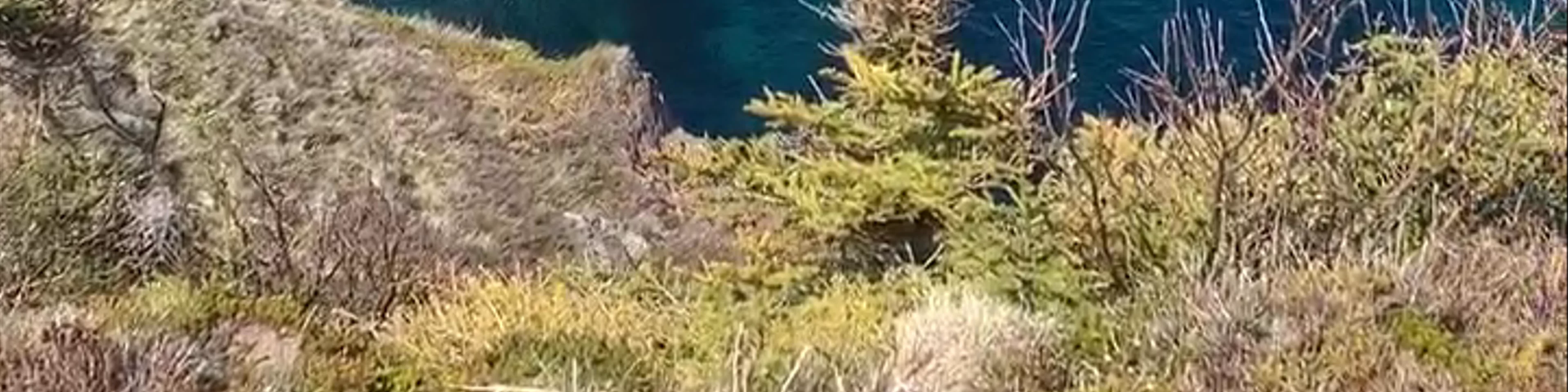 Mickeleens Path