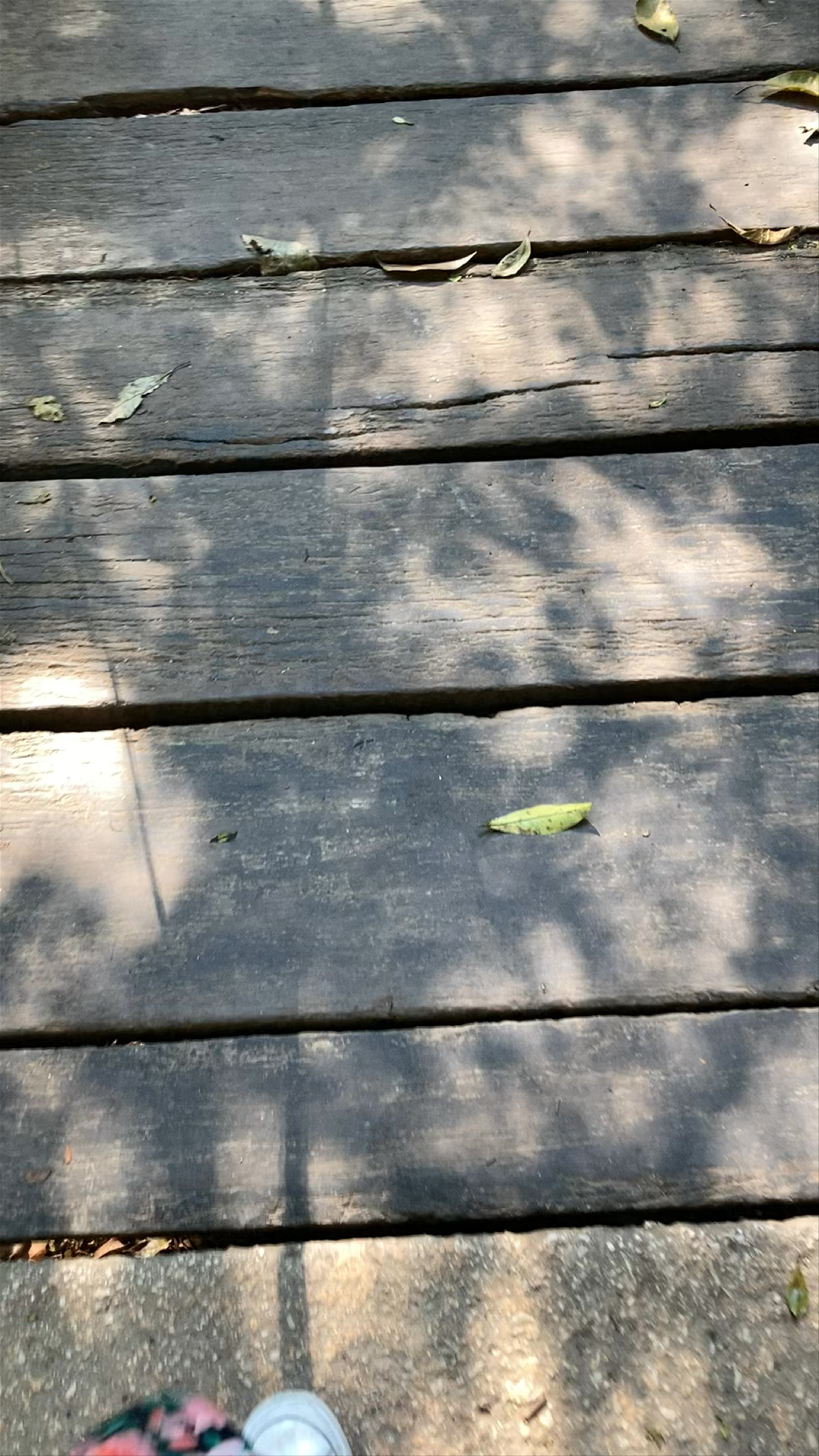 Zona Arqueológica Palenque