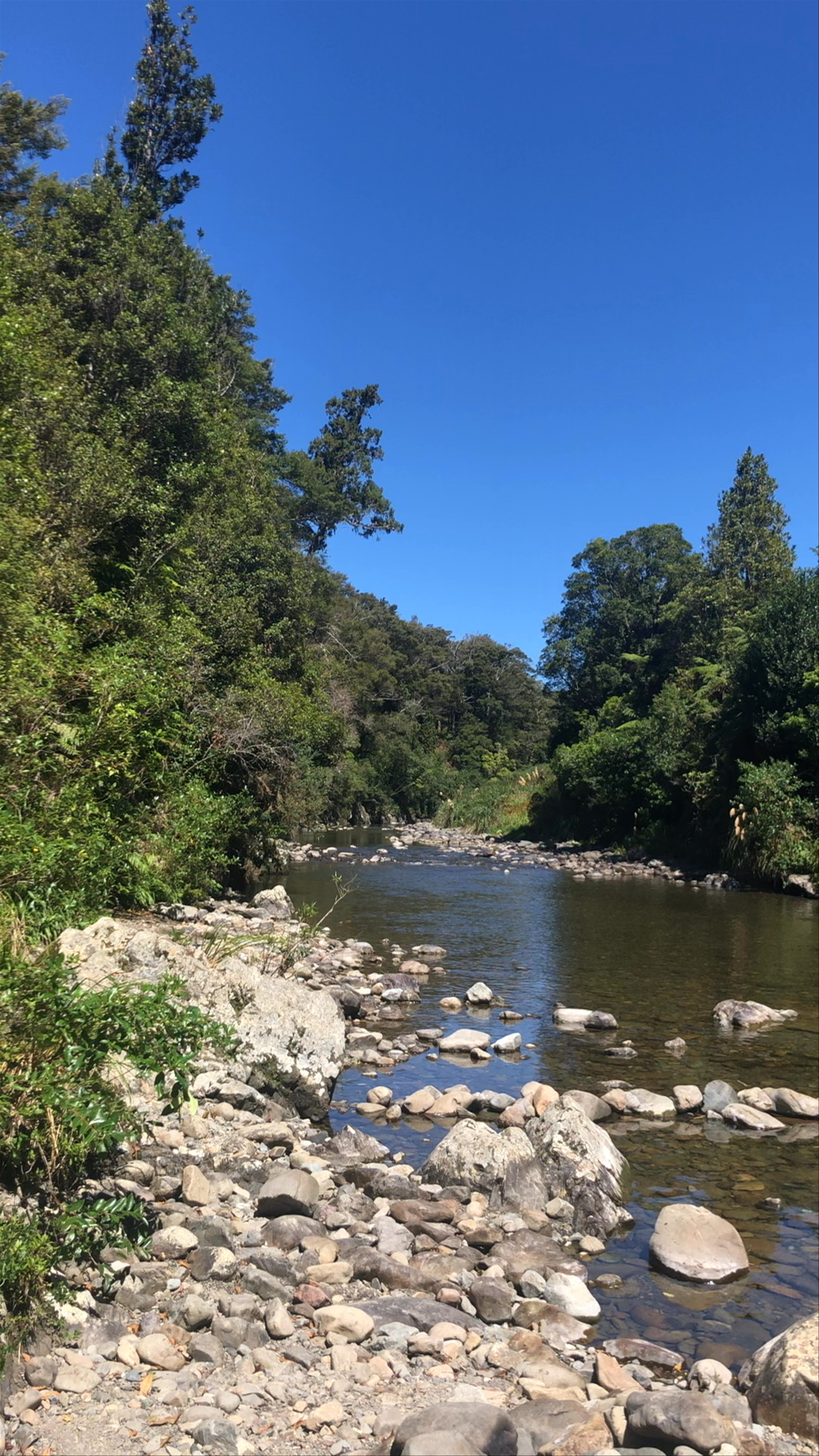 Kaitoke Regional Park Campground