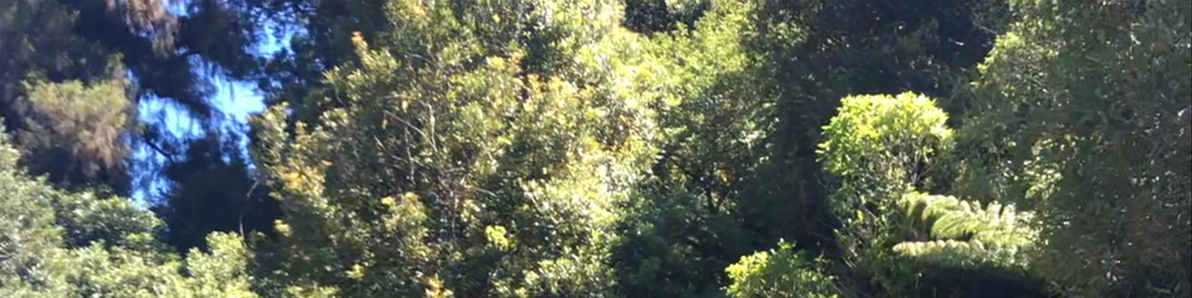 Kaitoke Regional Park Campground