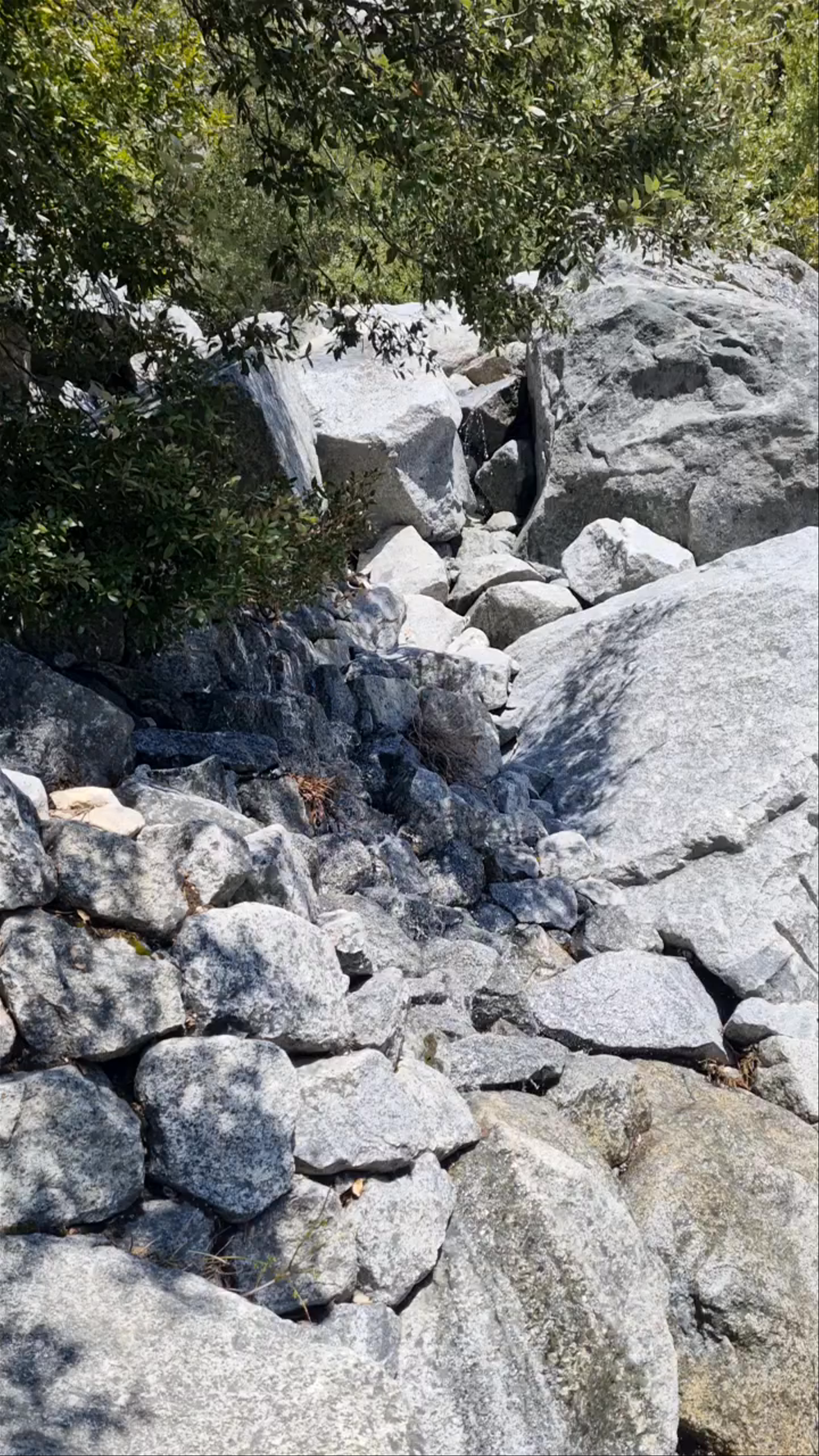 Upper Yosemite Falls Trail: Rugged Mountain Hiking in Yosemite Valley