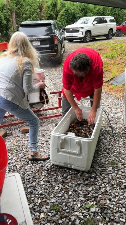Cathy's Lobster Bake - Paul and Cathy starting to boil the lobsters! - Caterers Near Me - Gray, Maine