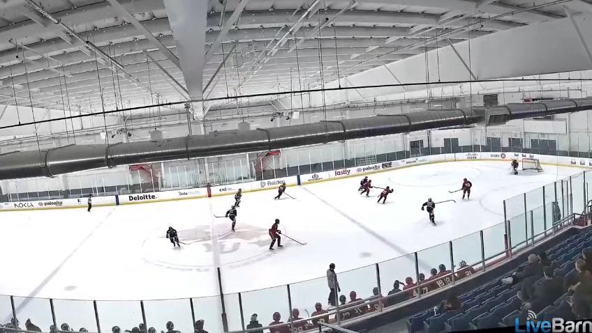 Jonas Mohamed's Spectacular Goals | ES Weißwasser in Toronto