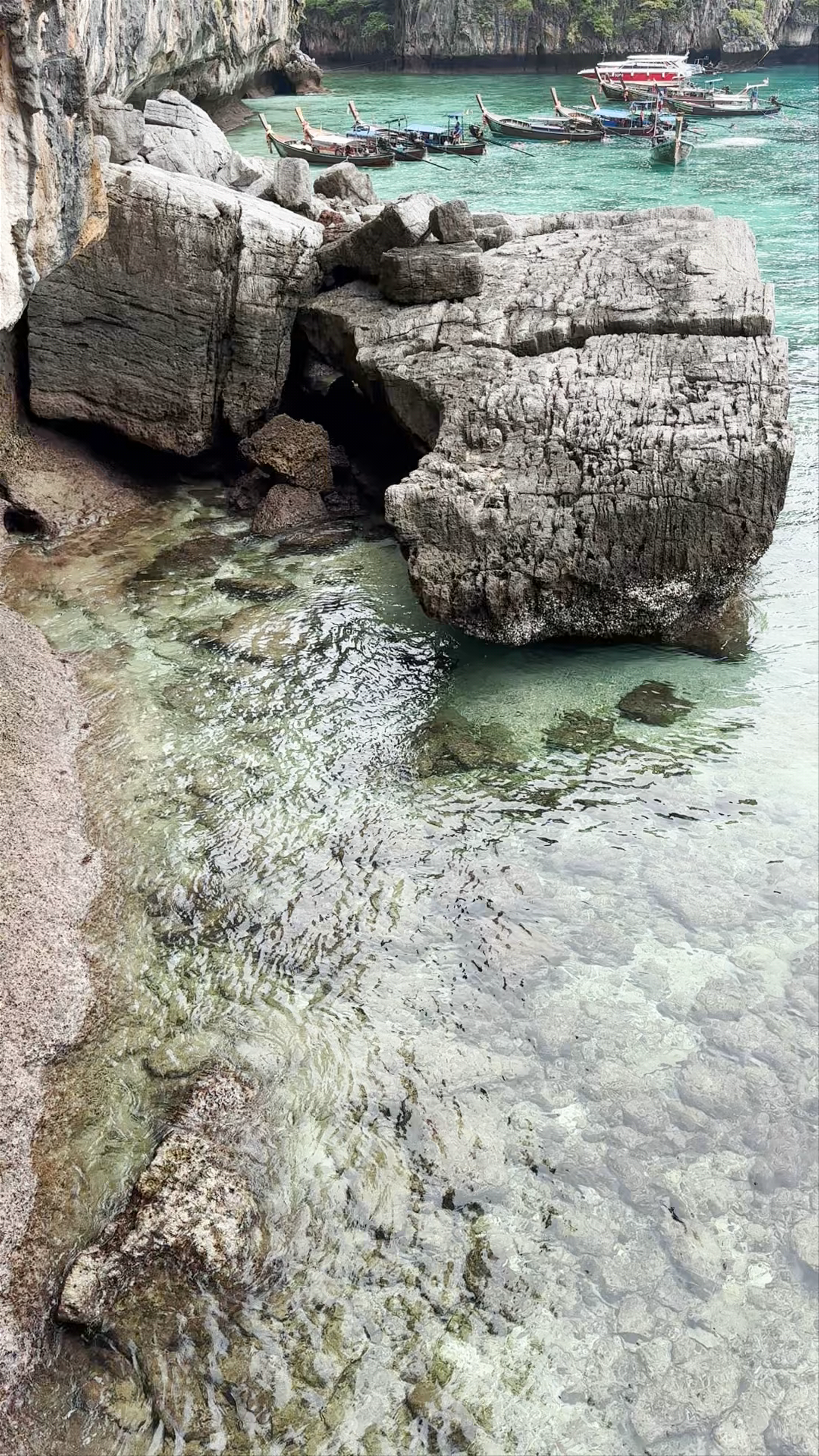 RICHARD TOUR PhiPhi Boat Ticket-Trip-City Tour-Sunset Go/Similan/James Bond/Hong 360°/Krabi Phuket Aonang Railay Lanta Lipe