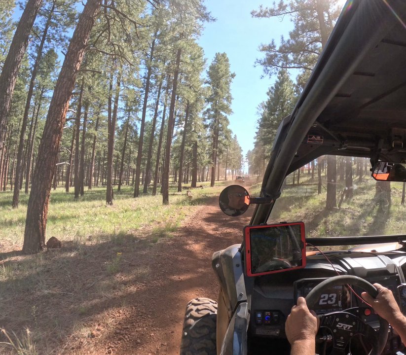 UTV Offroad Adventures - ATV Rentals/Tours Near Me