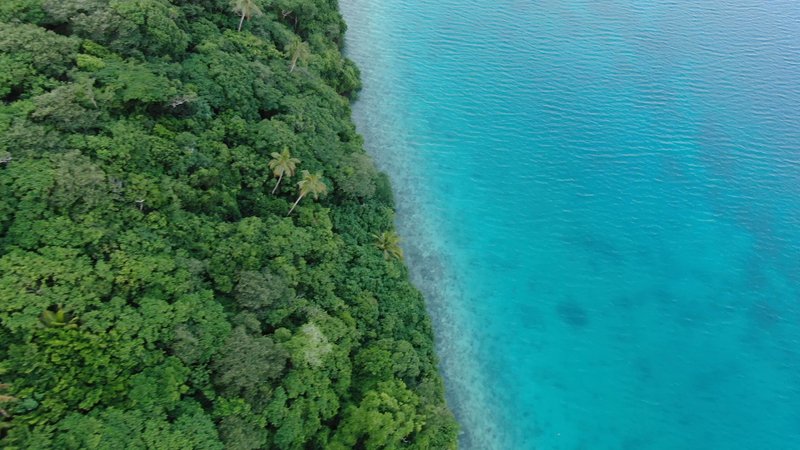 Drone view of Tongan Islands poster