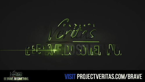 Video Thumbnail Loop