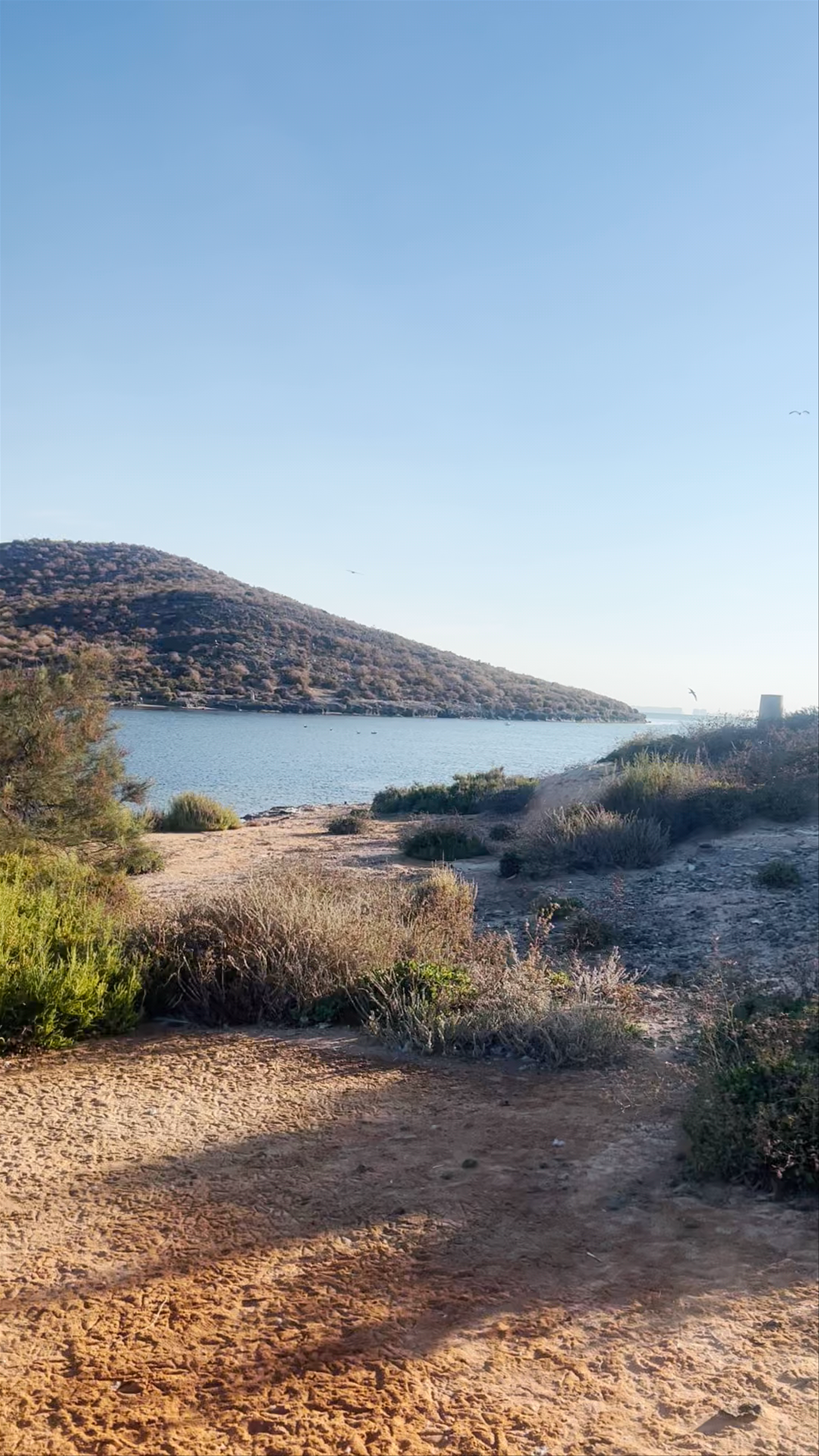 Isla Perdiguera