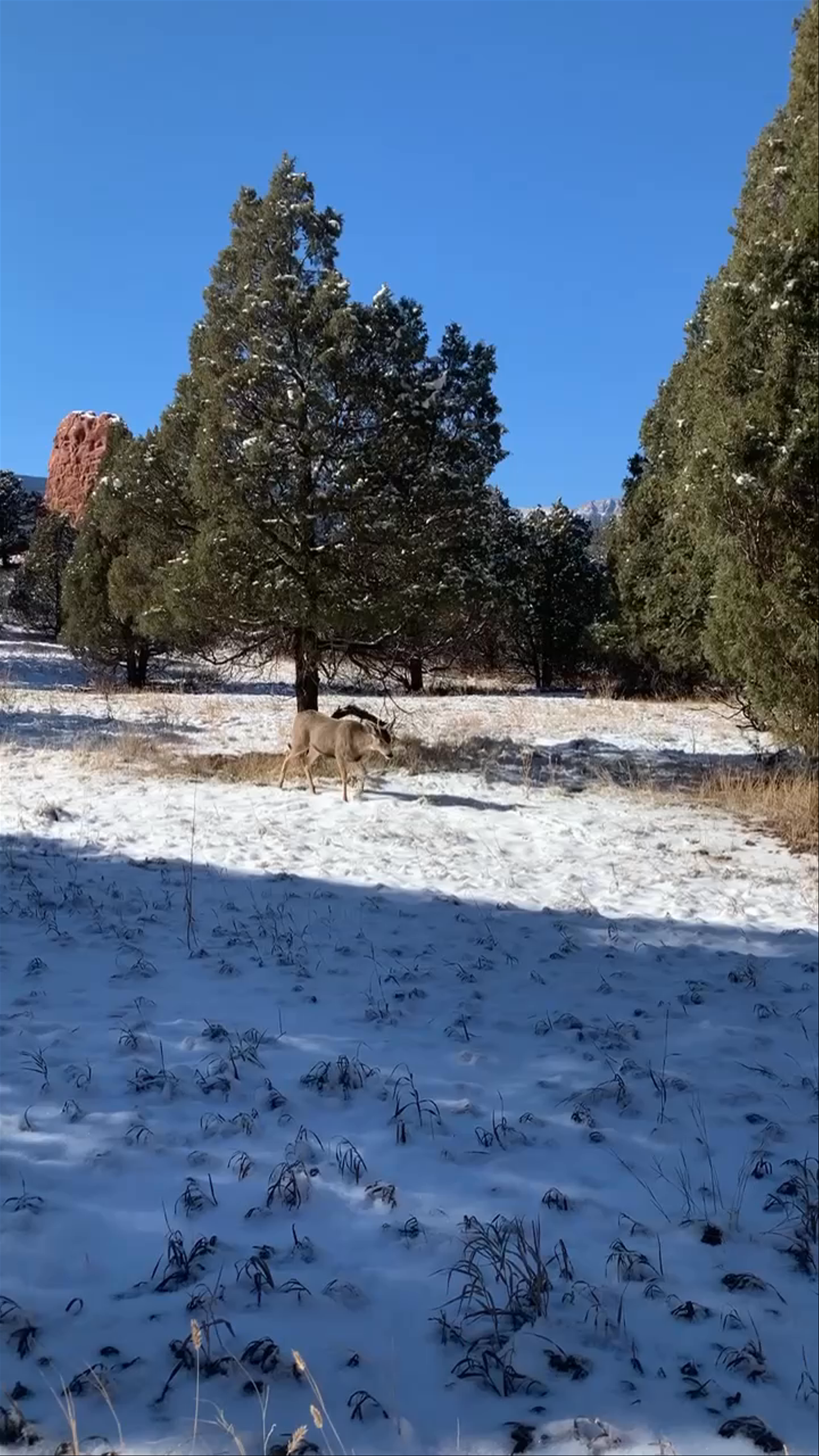 Garden of the Gods Visitor & Nature Center
