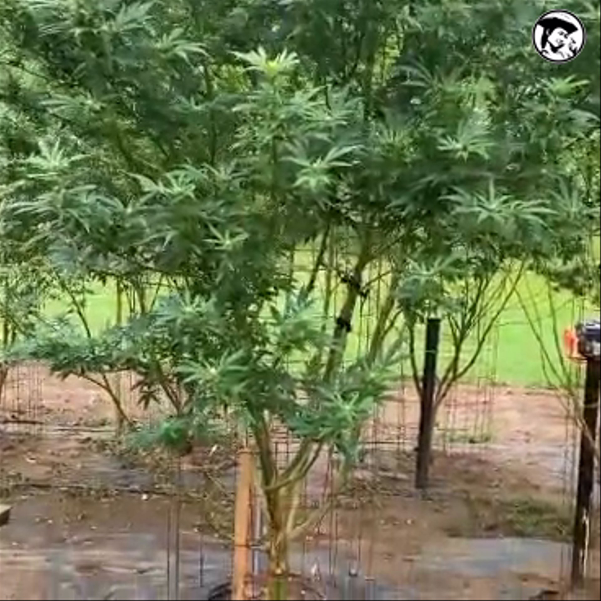VID-20261005-WA0016