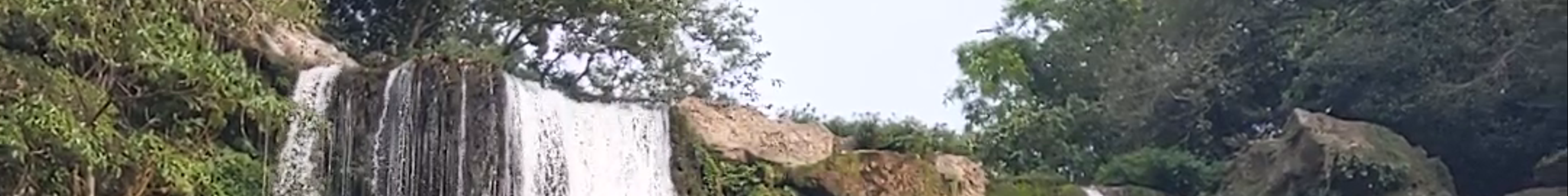 Tours & experiences in Palenque