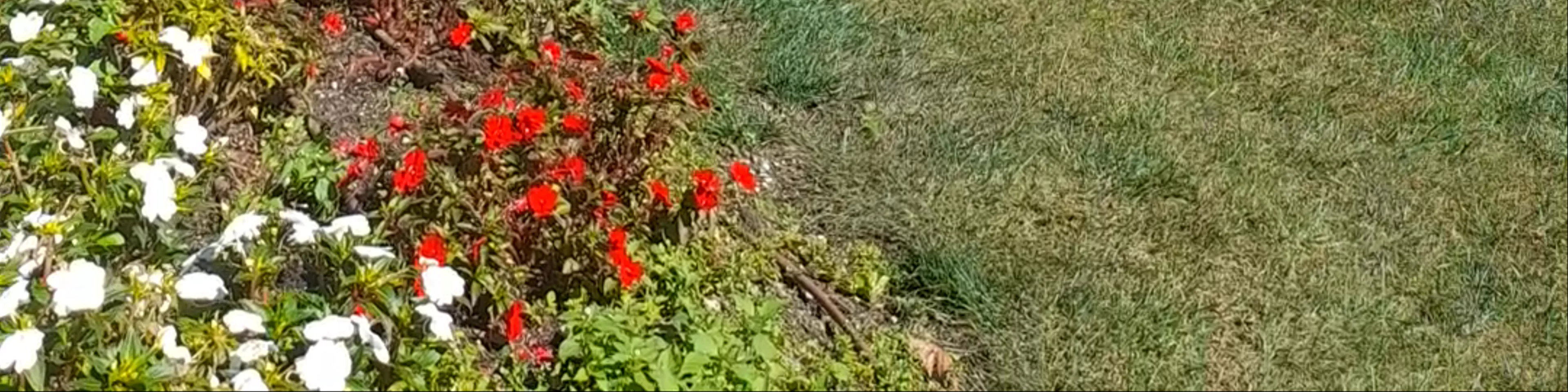 Parco di Villa Olmo