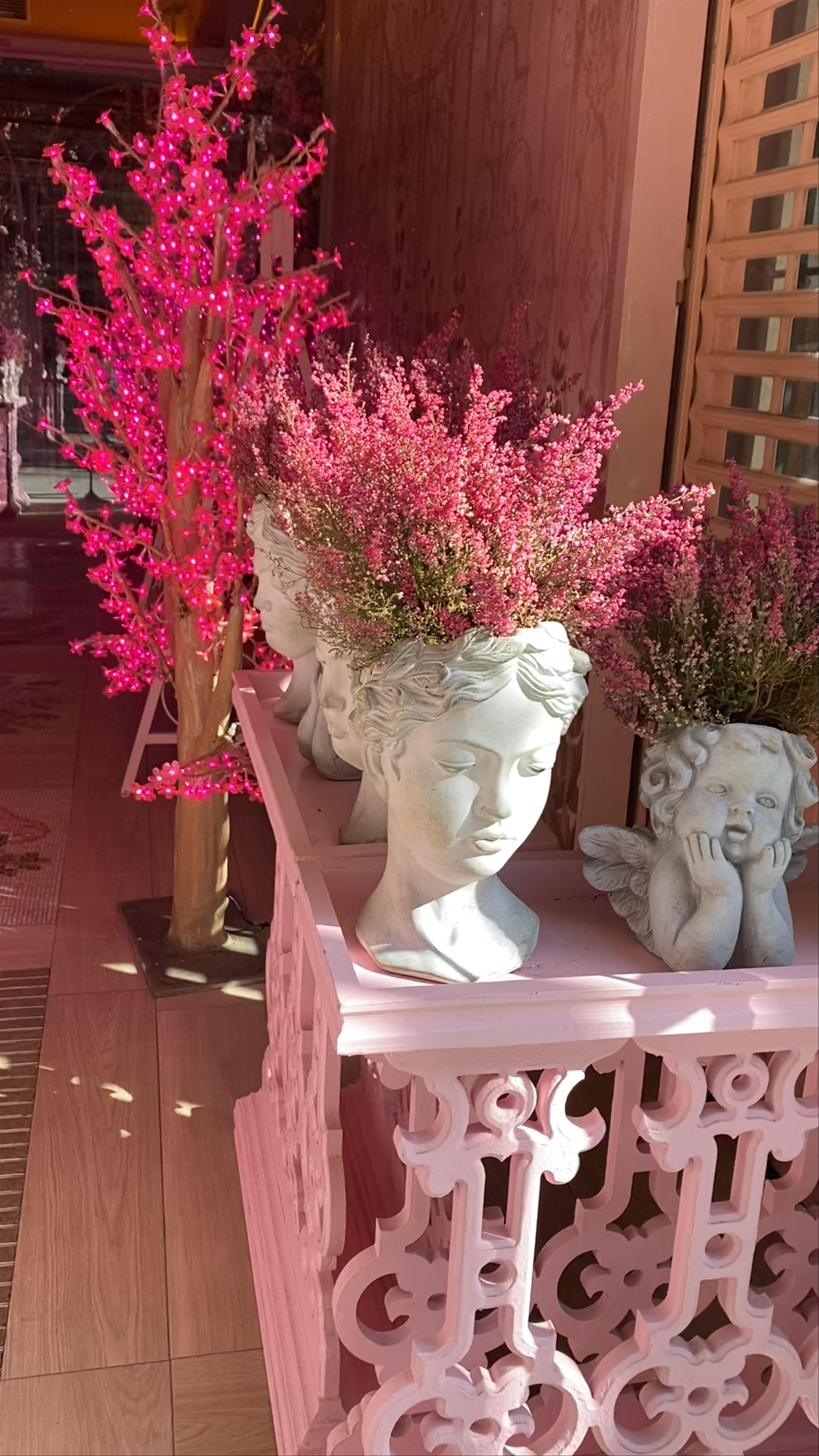 Bloom Madrid: A Pink Floral Escape in the Heart of Comunidad de Madrid