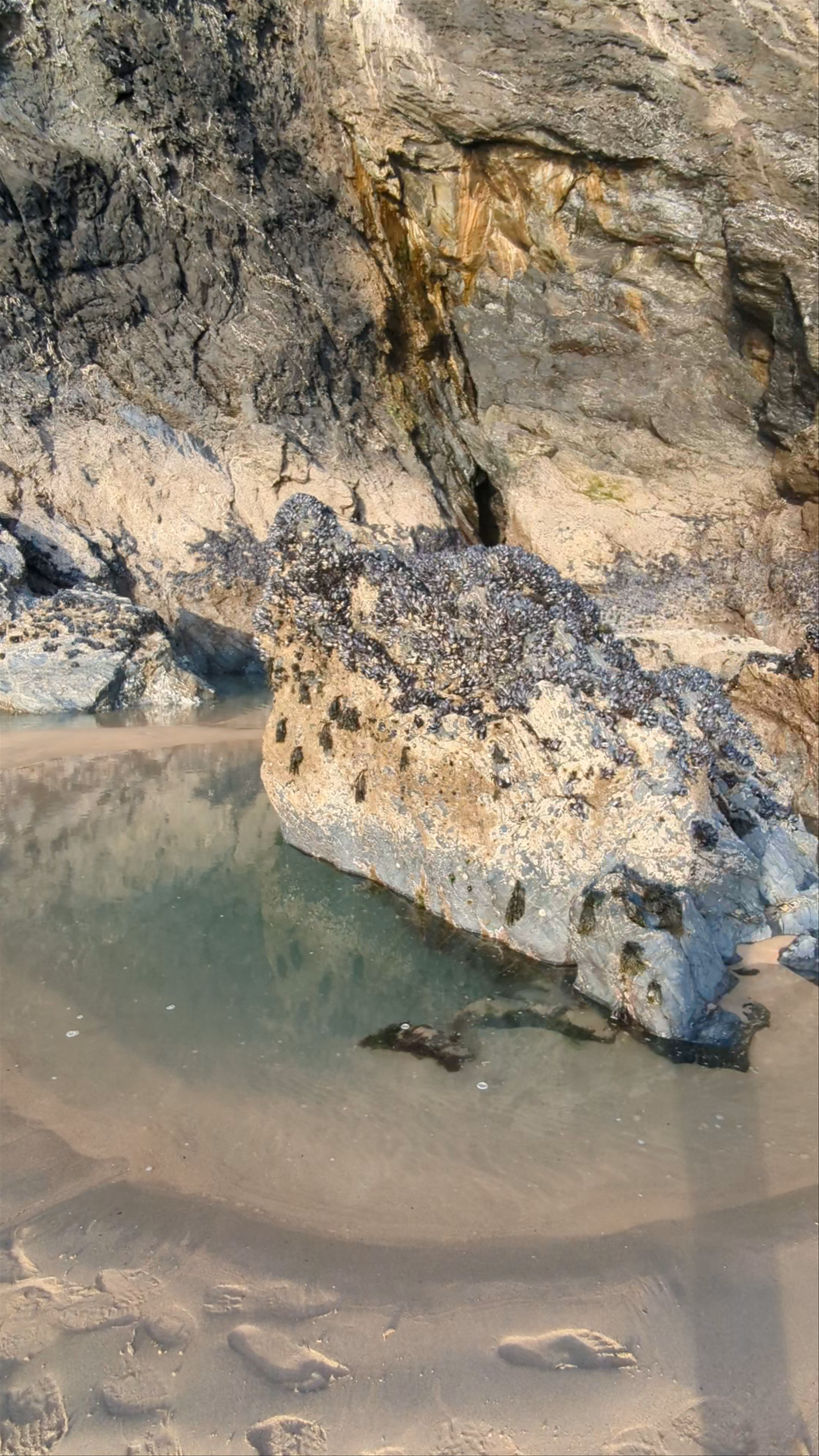 Tranquil Tide Pools at Holywell Bay Beach, Newquay, UK