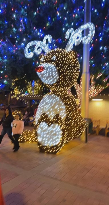 Glendale Glitters - Lights at Glendale glitters - Festivals Near Me - Glendale, Arizona