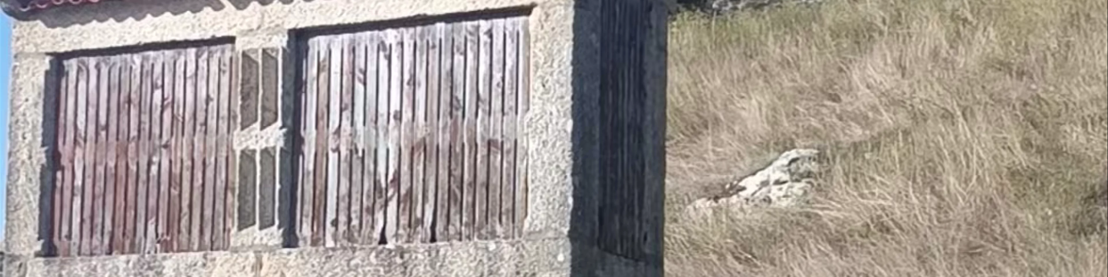 Hórreo del monte Boi