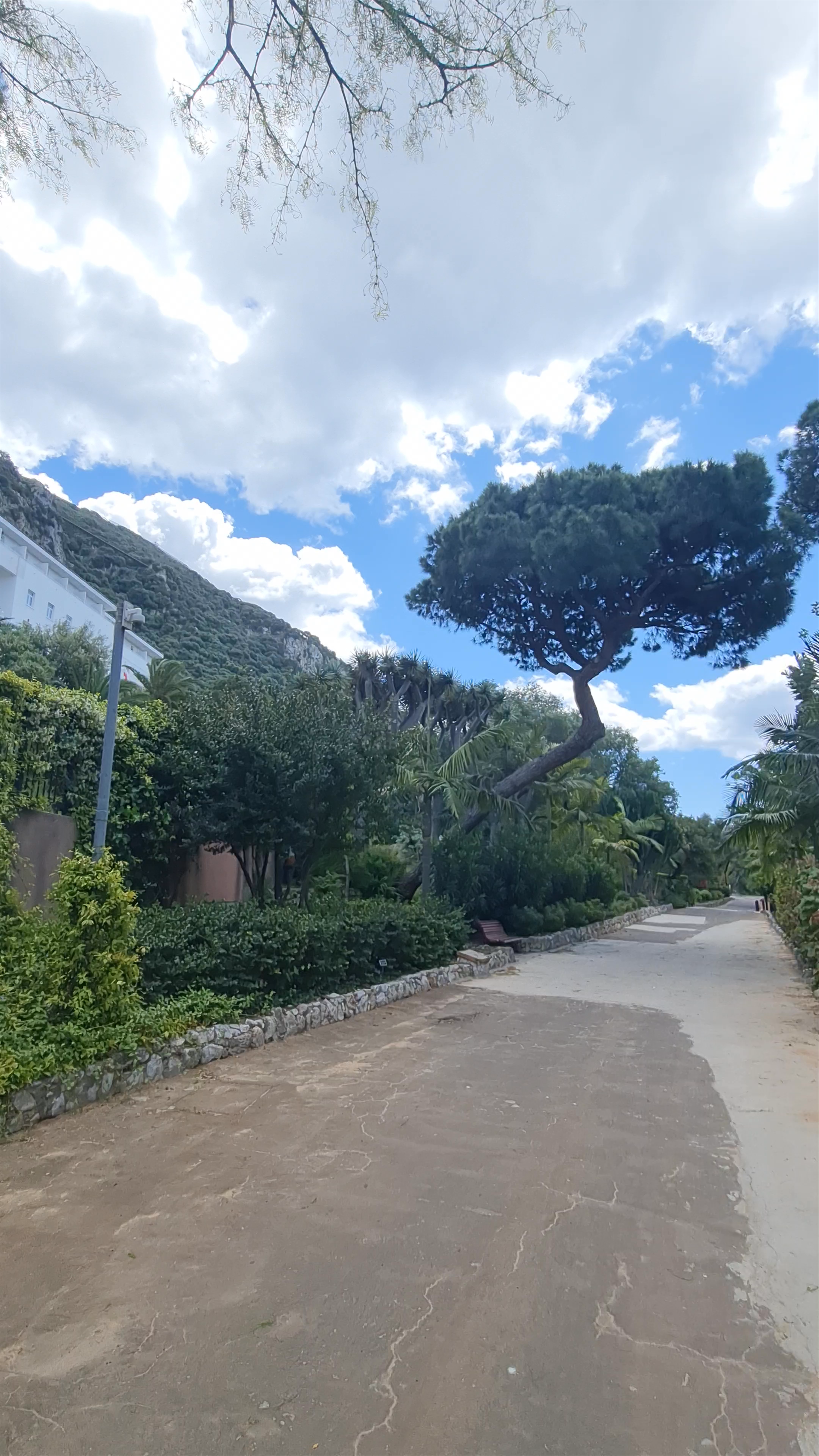 Gibraltar Botanic Gardens