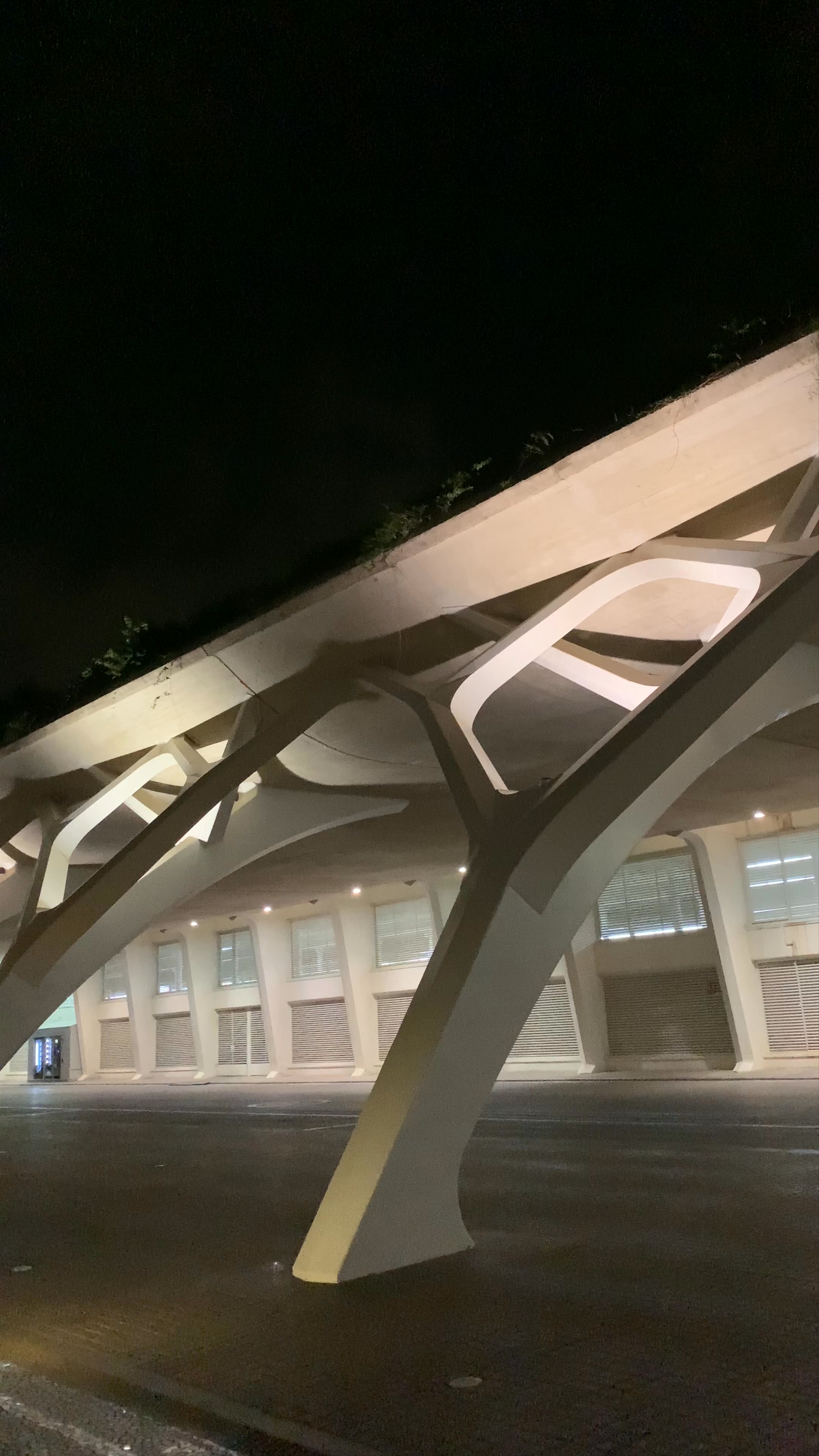Palau de les Arts