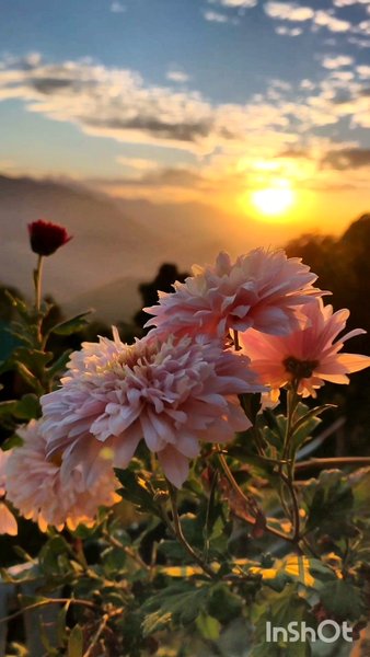 Photo of Sunrise at Jeolikote