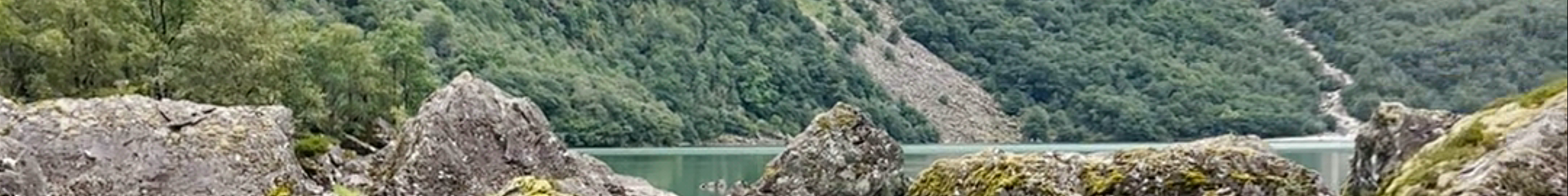 Tours & experiences in Odda