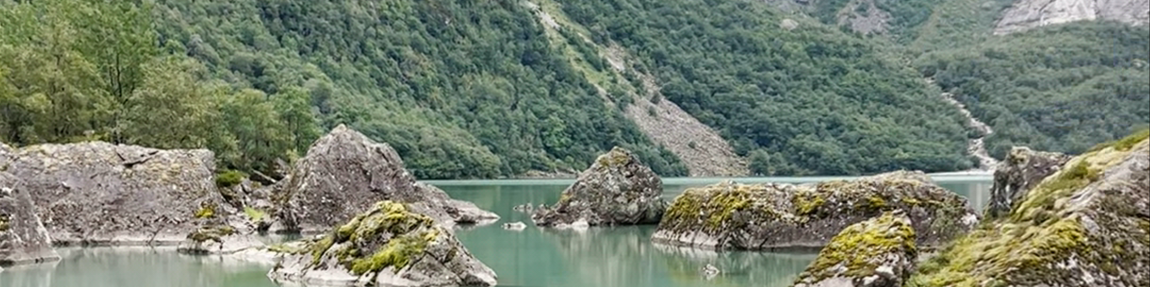 Odda