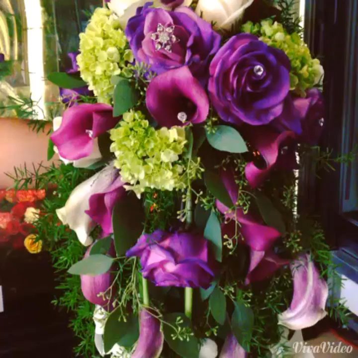 Anturio Flowers - Florists Near Me - Richfield, Minnesota