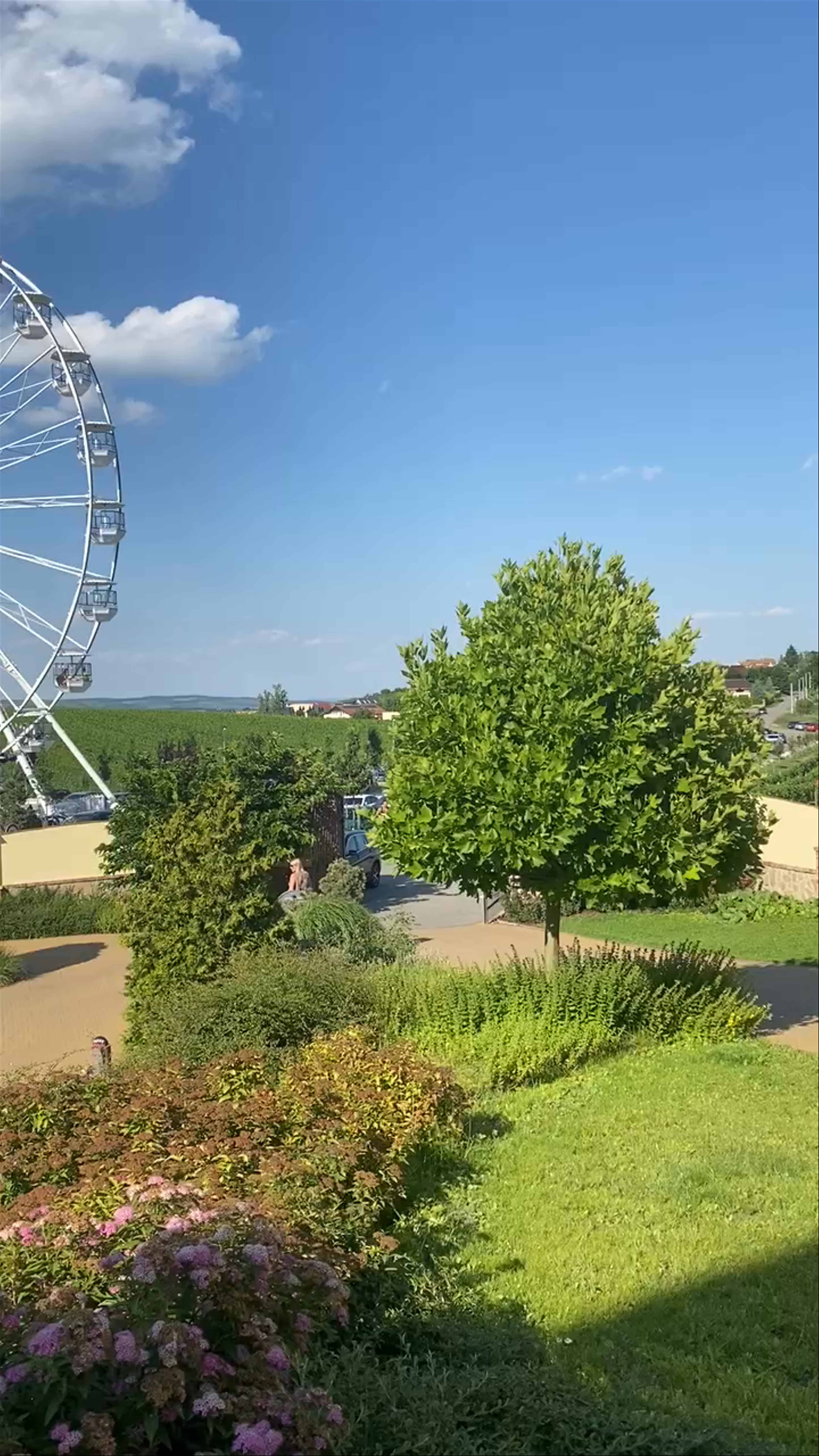 Vinařství U Kapličky