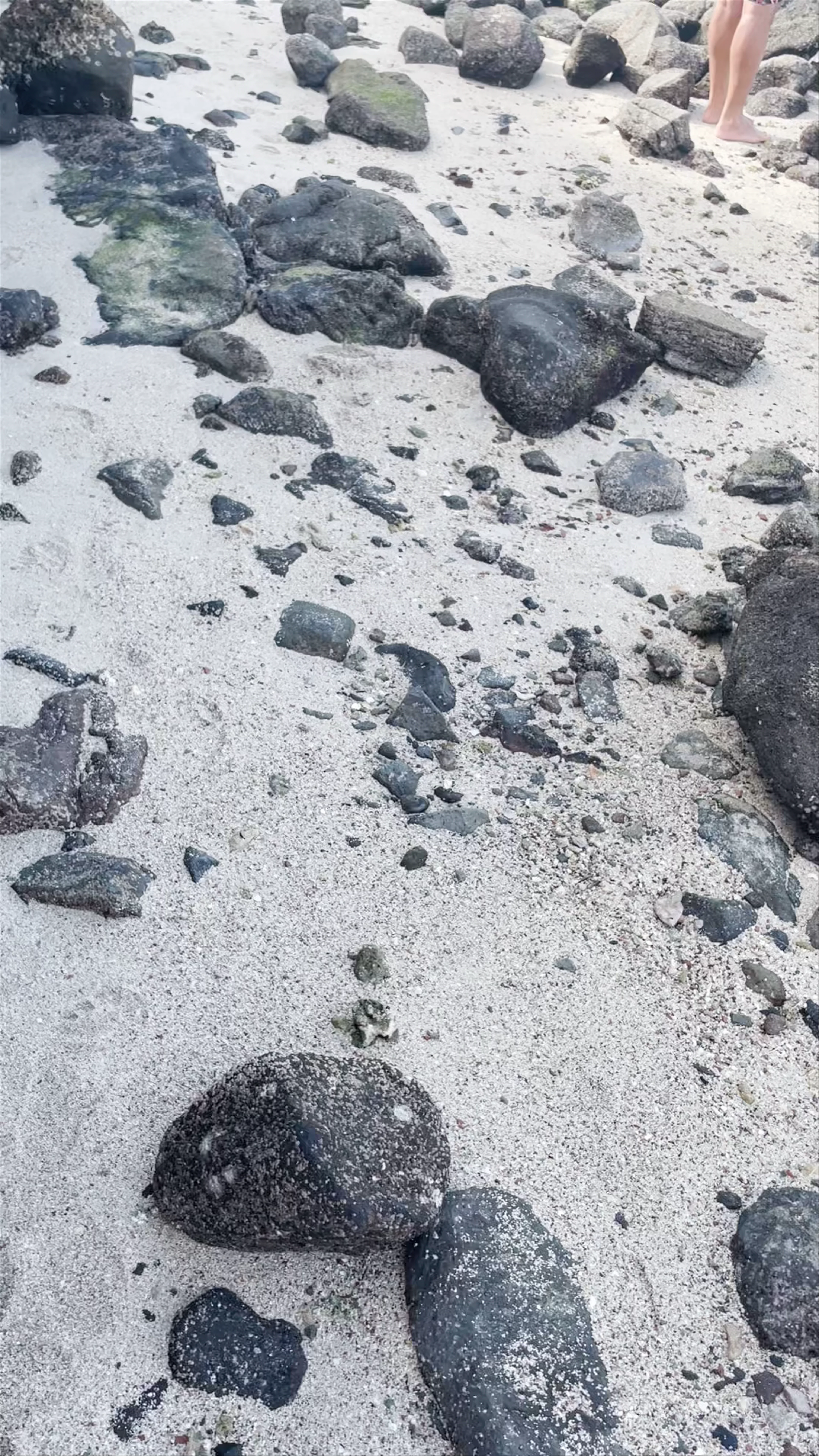Playa El Tesoro, Bahía Pichilingue, Lomas de Palmira