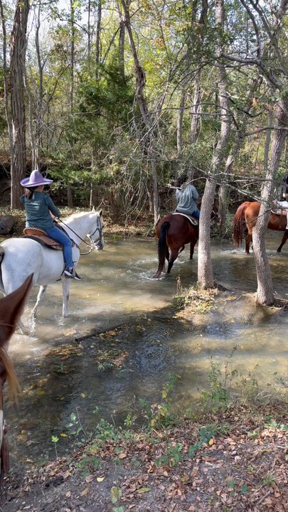 SOUTHERN TRAILS - Updated June 2026 - 112 Photos & 49 Reviews - 15701 ...