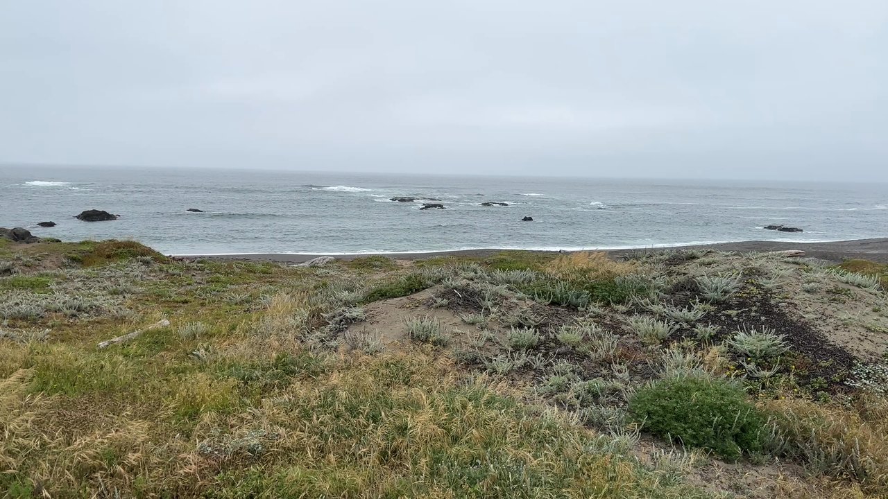 RICOCHET RIDGE RANCH - Updated January 2026 - 172 Photos & 182 Reviews ...